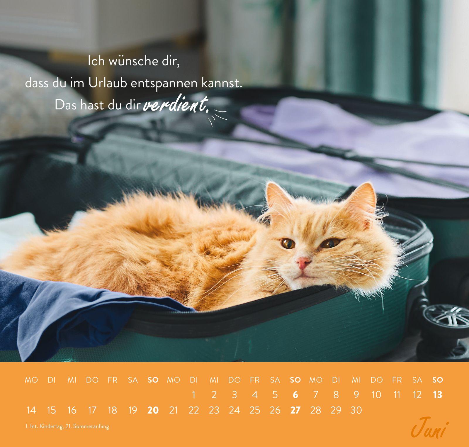 Beispielinhalt (Bild) Wandkalender 2027: Einfach mal abhängen