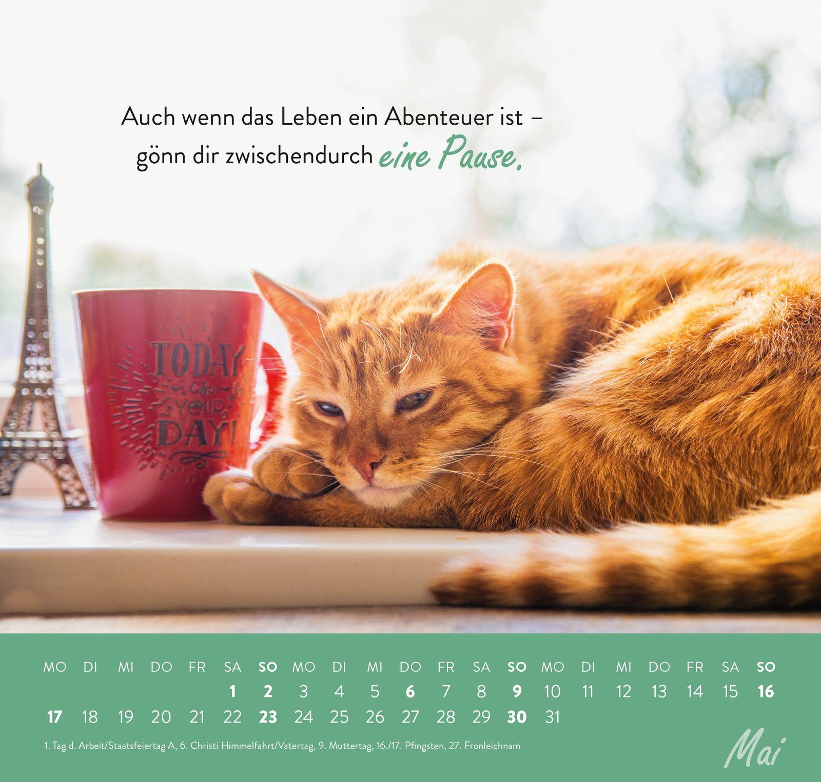 Beispielinhalt (Bild) Wandkalender 2027: Einfach mal abhängen