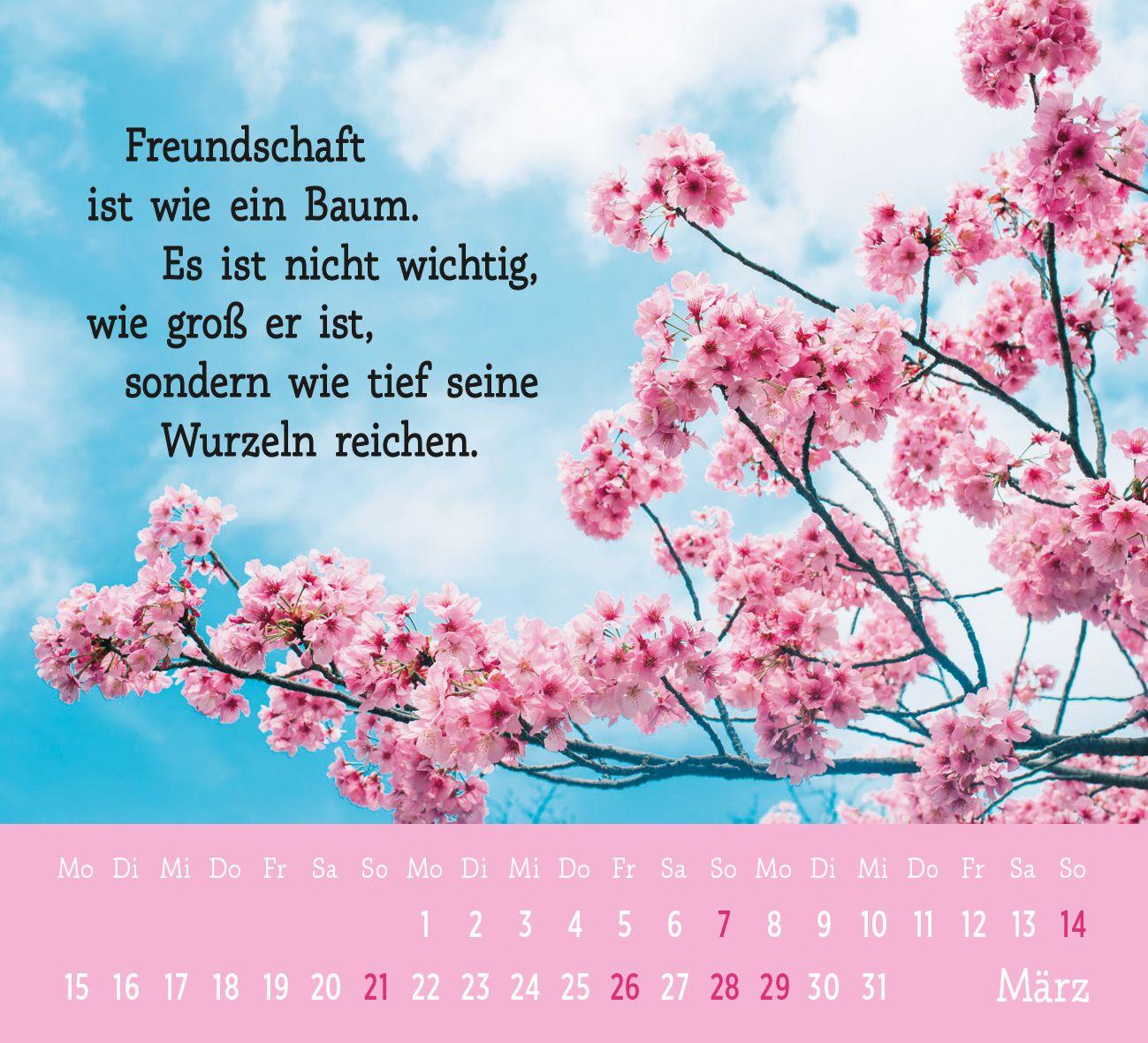 Beispielinhalt (Bild) Mini-Kalender 2027: Der kleine Freundschaftskalender
