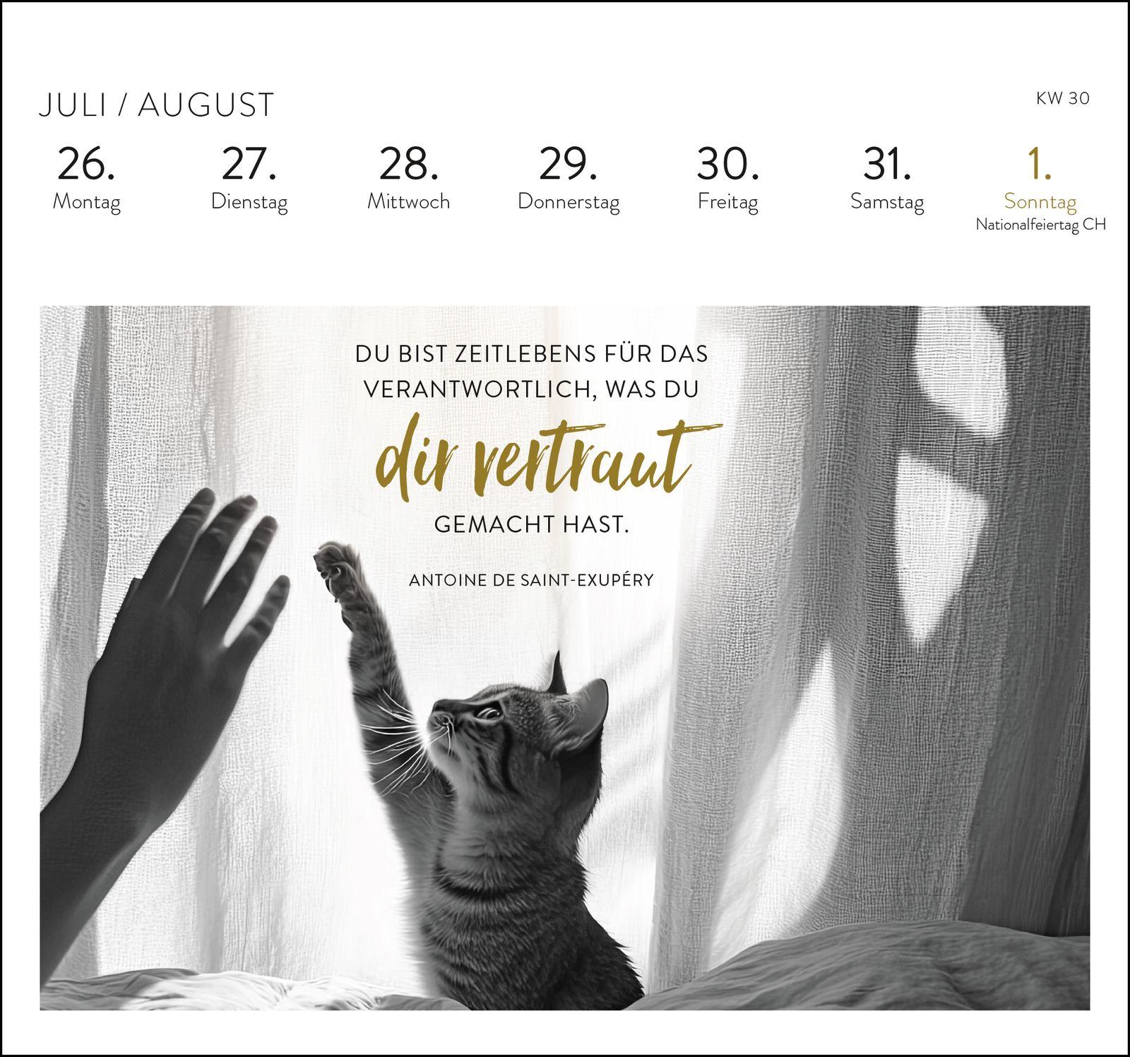 Beispielinhalt (Bild) Postkartenkalender 2027: Inspirierende Worte für Katzenfreunde