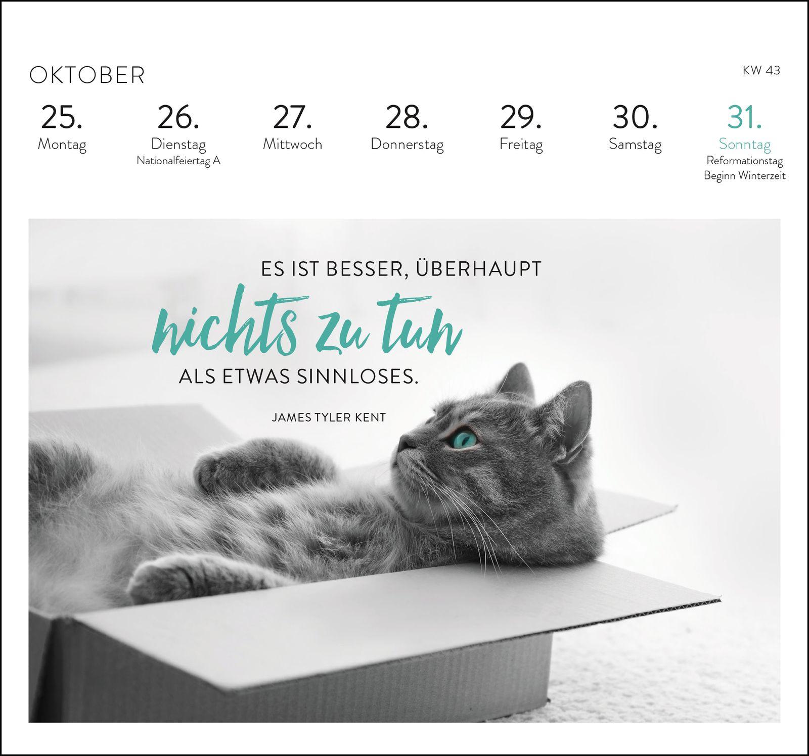 Beispielinhalt (Bild) Postkartenkalender 2027: Inspirierende Worte für Katzenfreunde