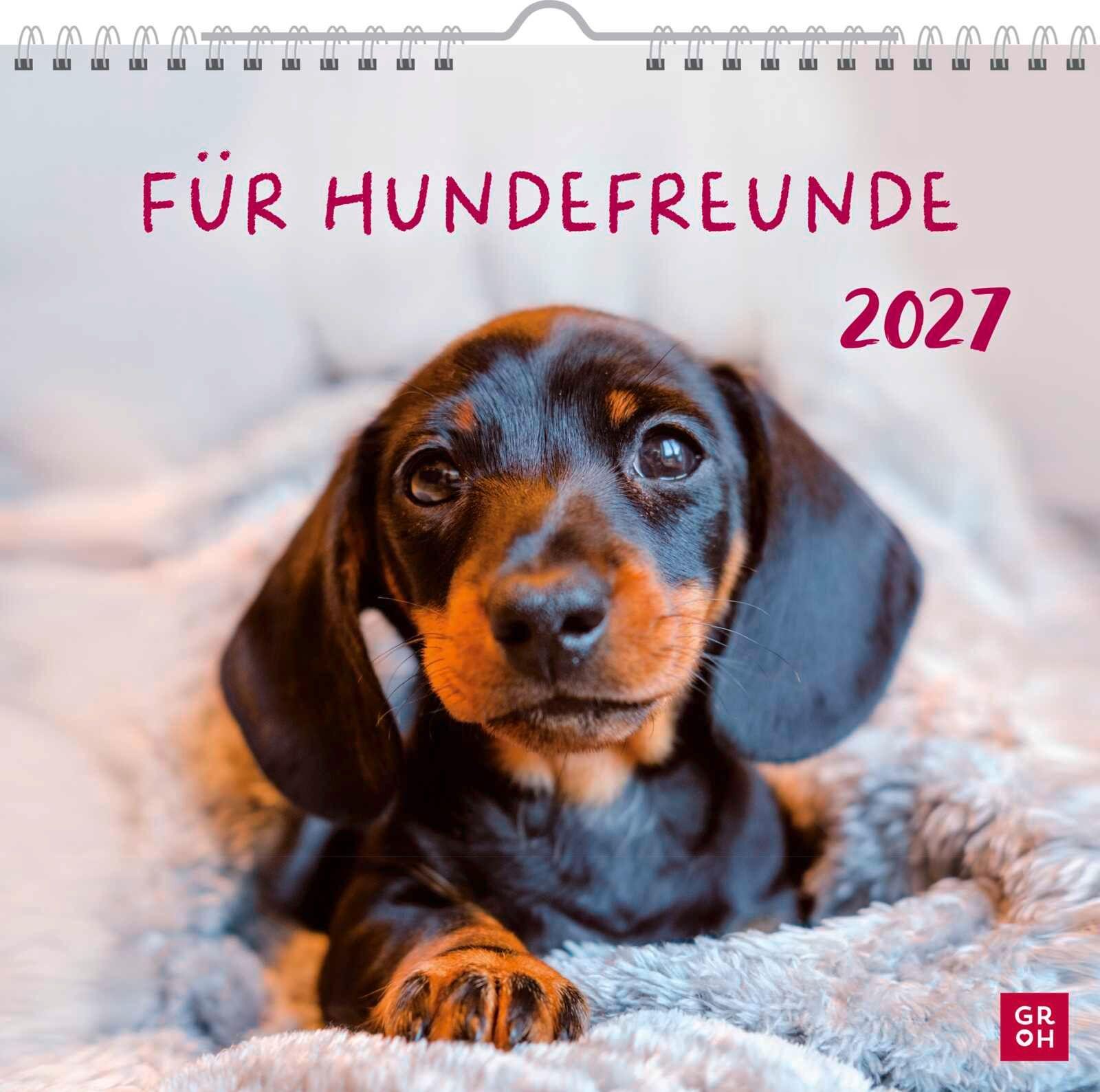 Vorderes Coverbild Wandkalender 2027: Für Hundefreunde