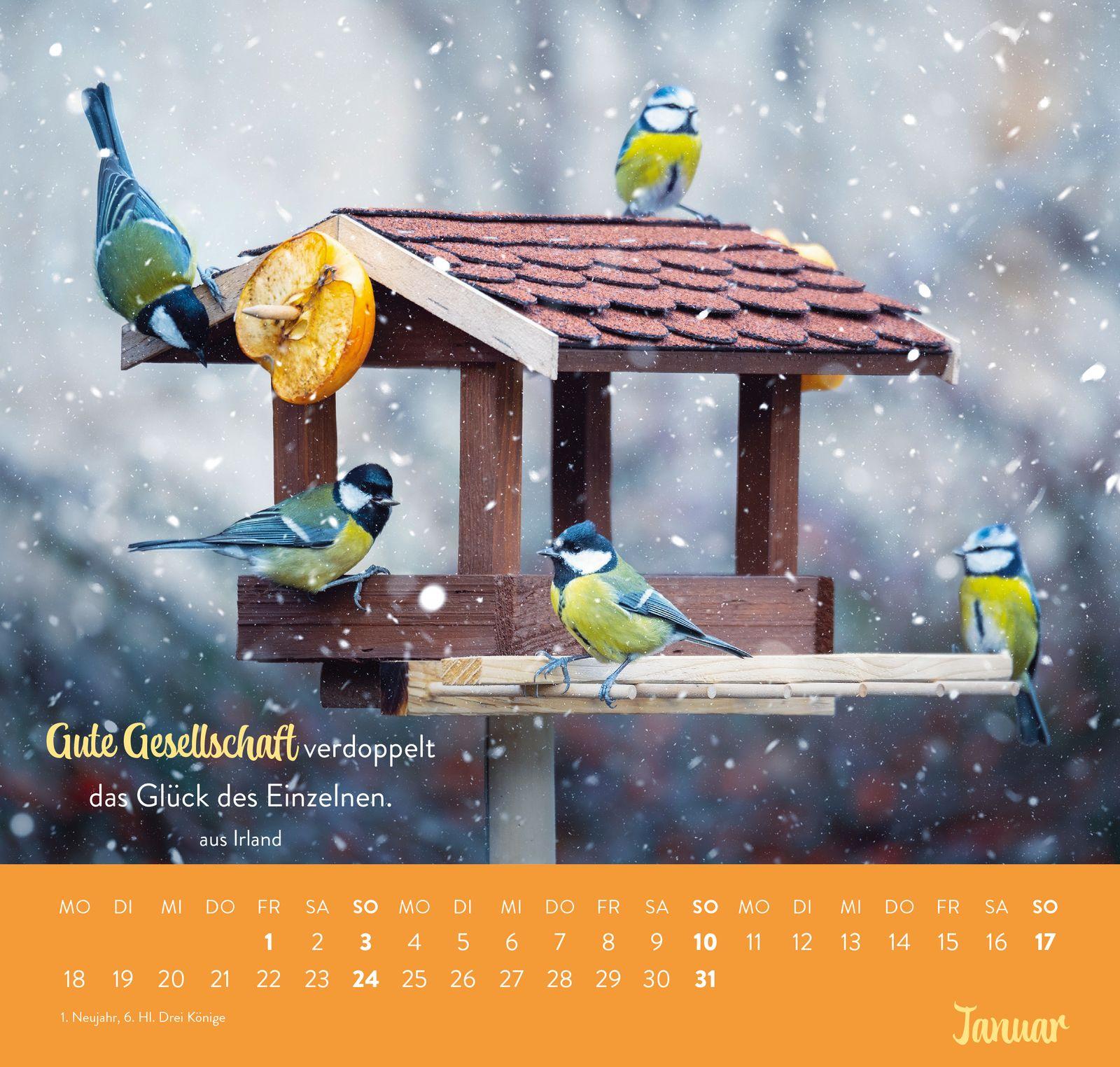 Beispielinhalt (Bild) Wandkalender 2027: Für nette Nachbarn