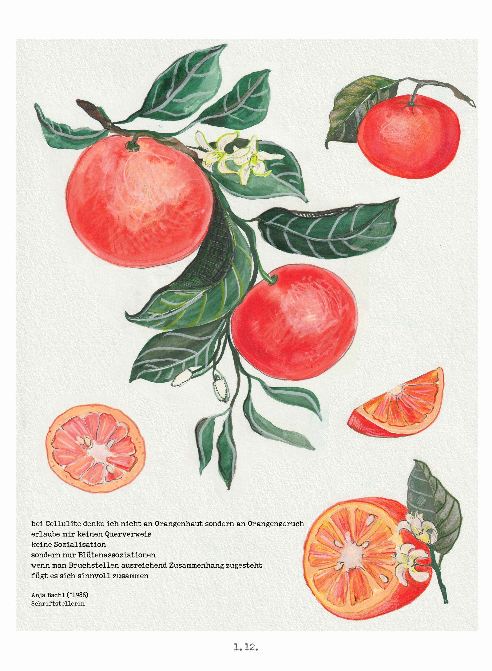 Beispielinhalt (Bild) Lichtungen Advent 2026