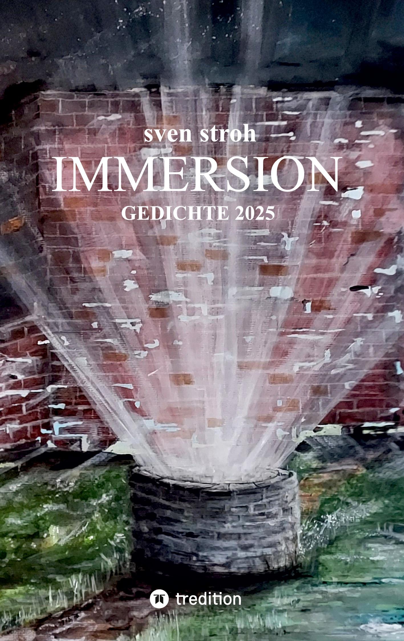 Vorderes Coverbild Immersion