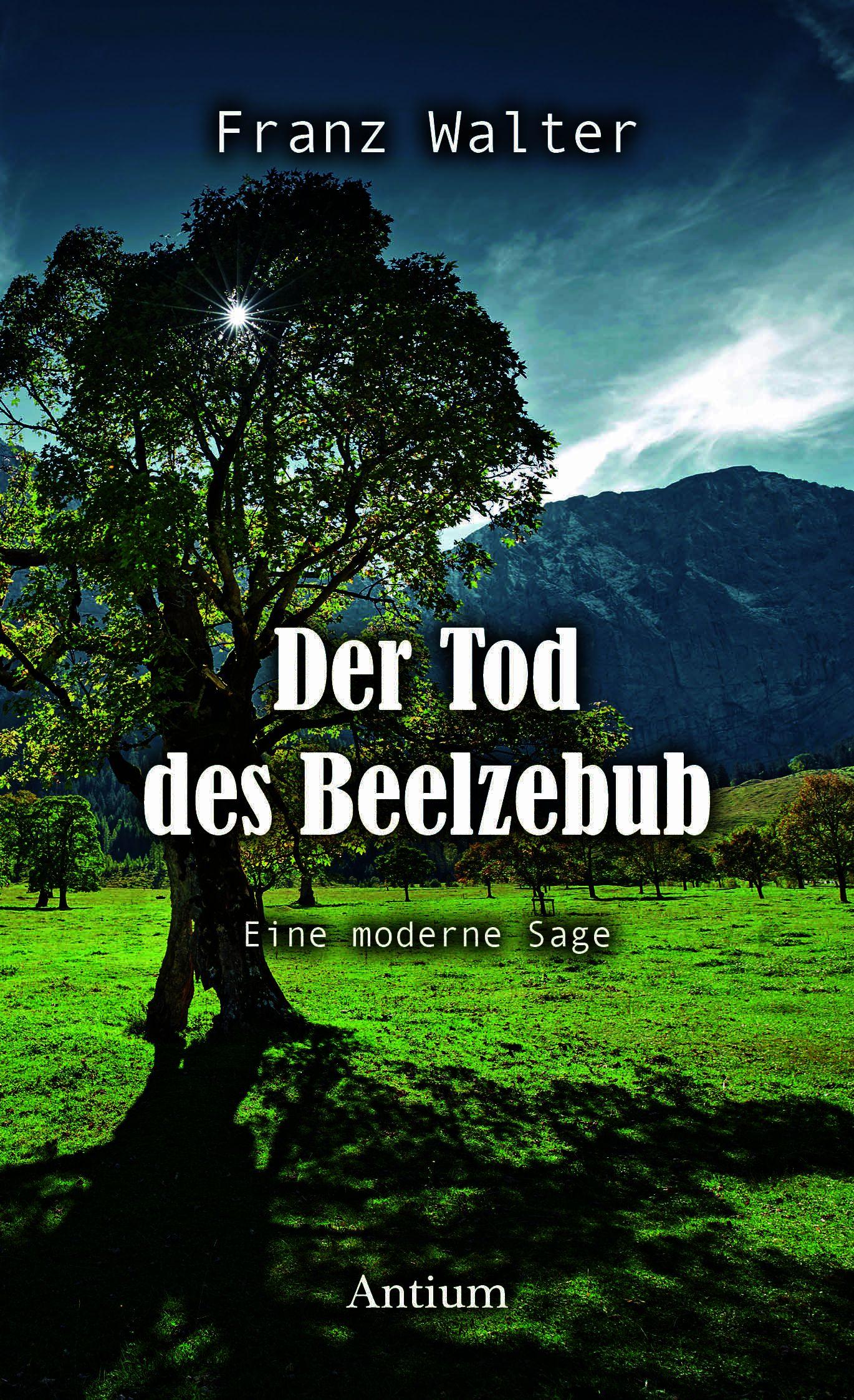 Vorderes Coverbild Der Tod des Beelzebub