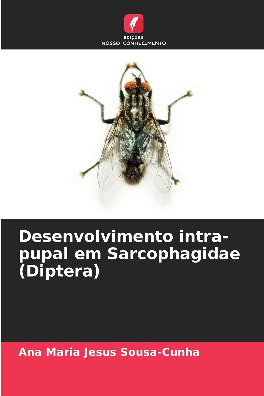 Vorderes Coverbild Desenvolvimento intra-pupal em Sarcophagidae (Diptera)