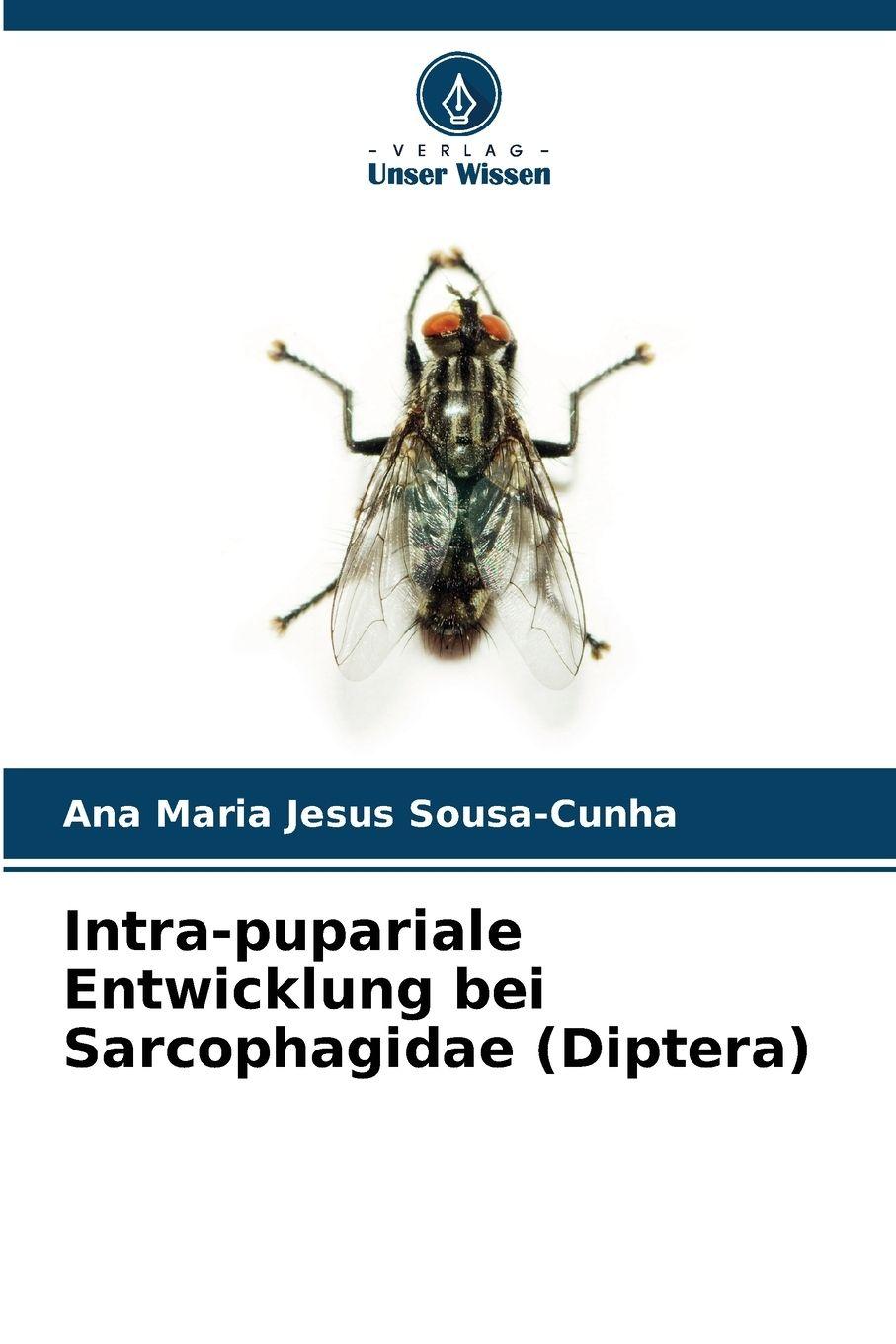Vorderes Coverbild Intra-pupariale Entwicklung bei Sarcophagidae (Diptera)