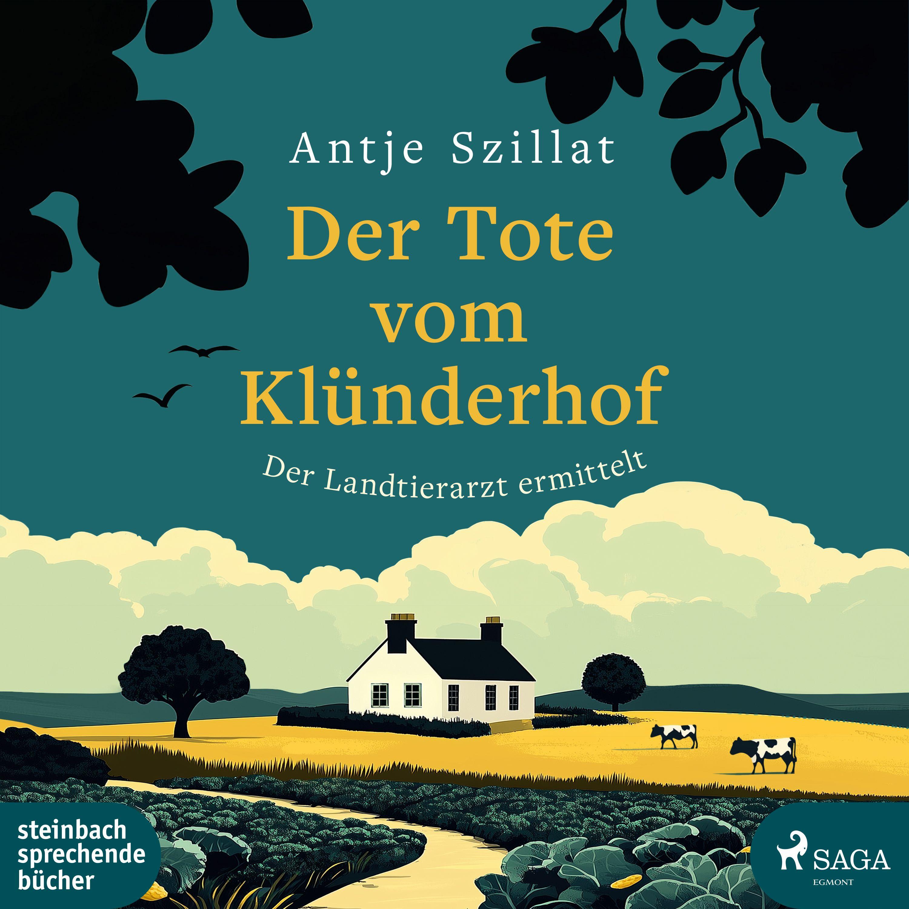 Vorderes Coverbild Der Tote vom Klünderhof