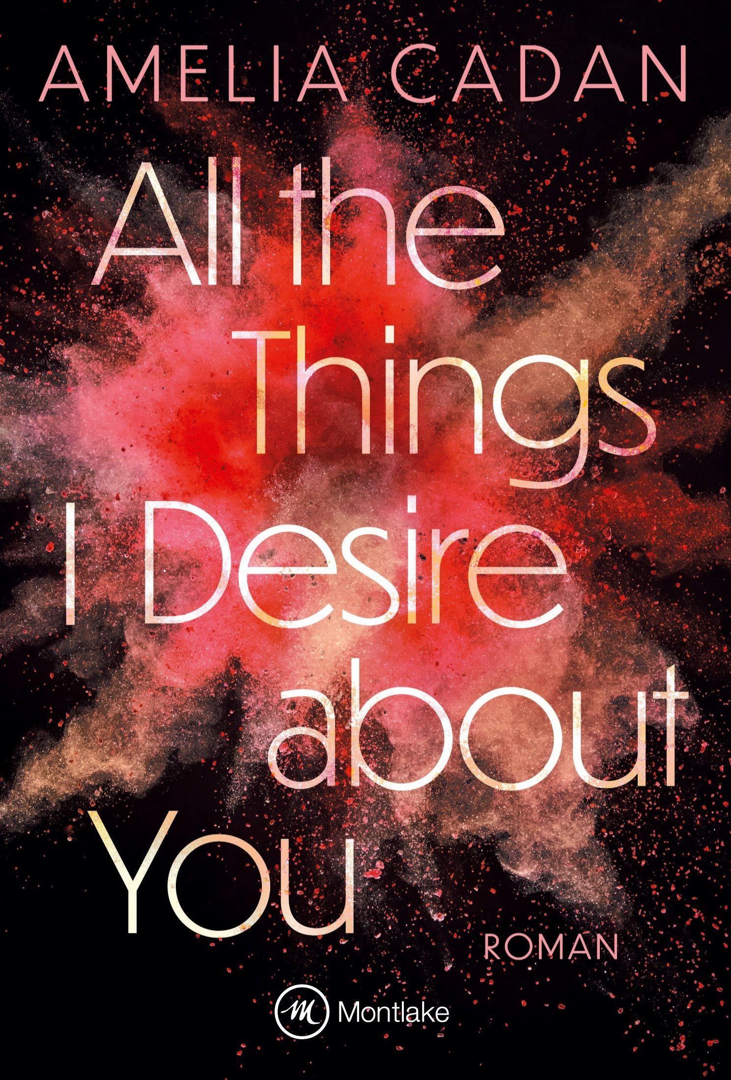 Vorderes Coverbild All the Things I Desire about You
