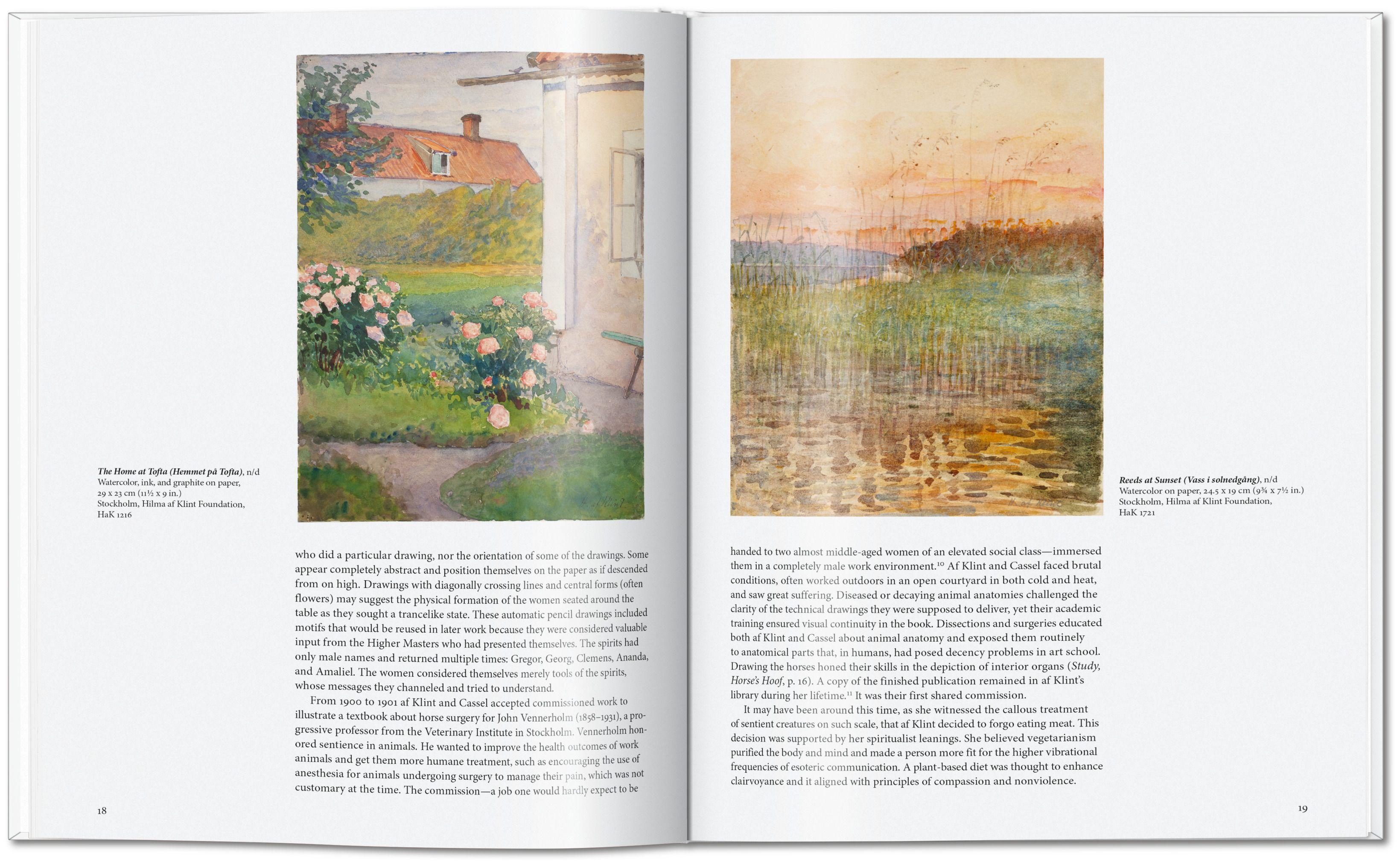 Beispielinhalt (Bild) Hilma af Klint