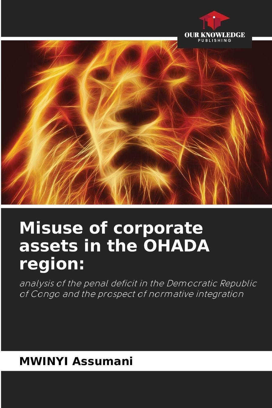 Vorderes Coverbild Misuse of corporate assets in the OHADA region: