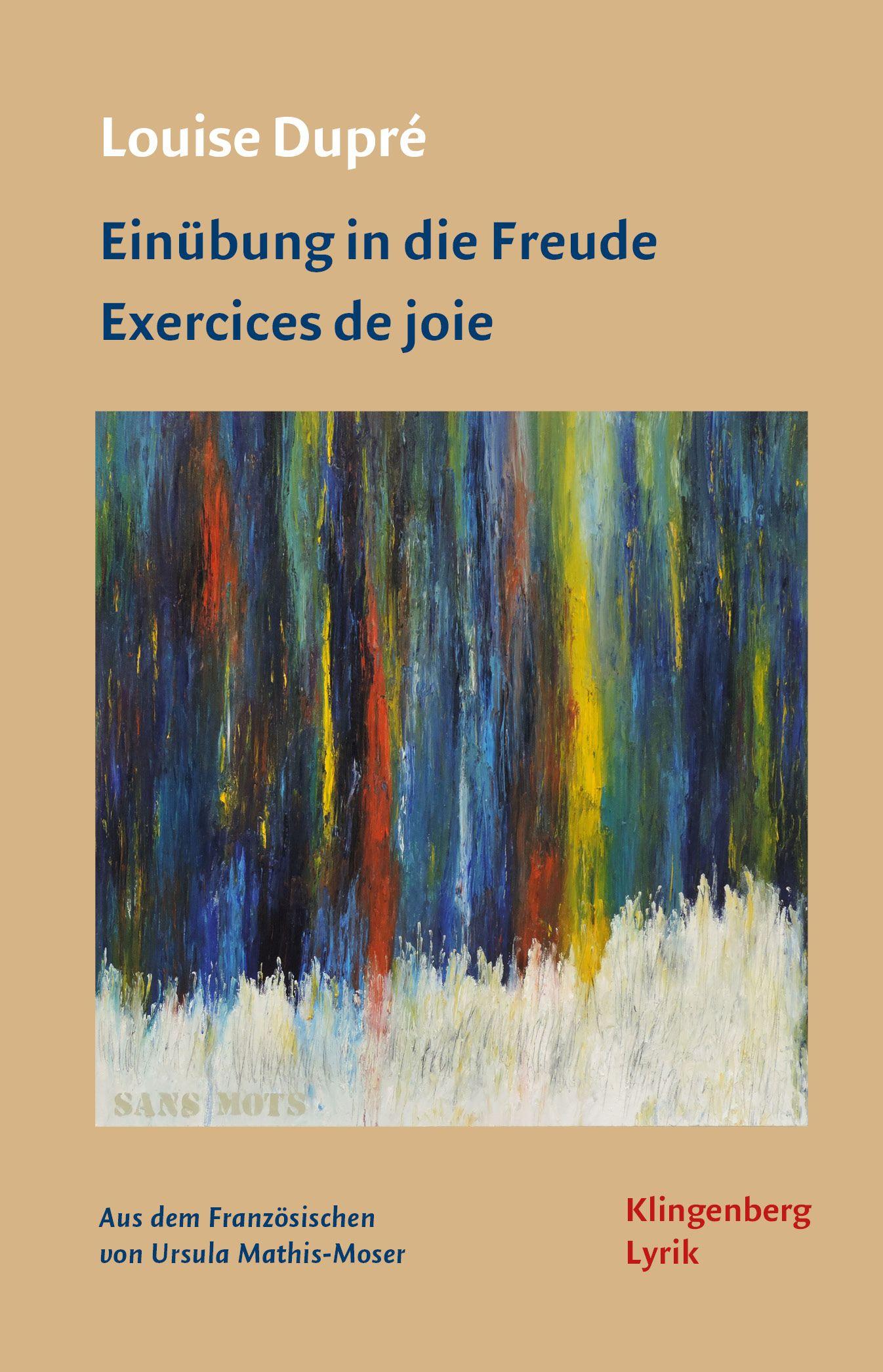 Vorderes Coverbild Einübung in die Freude