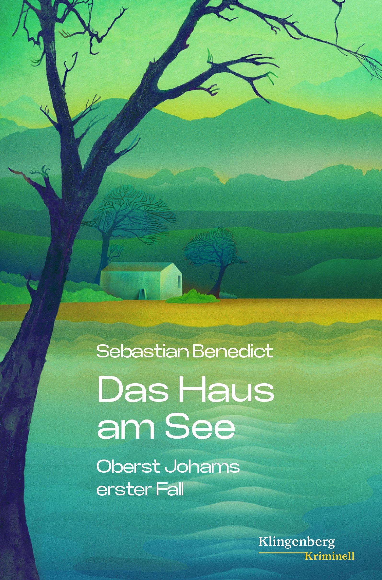 Vorderes Coverbild Das Haus am See
