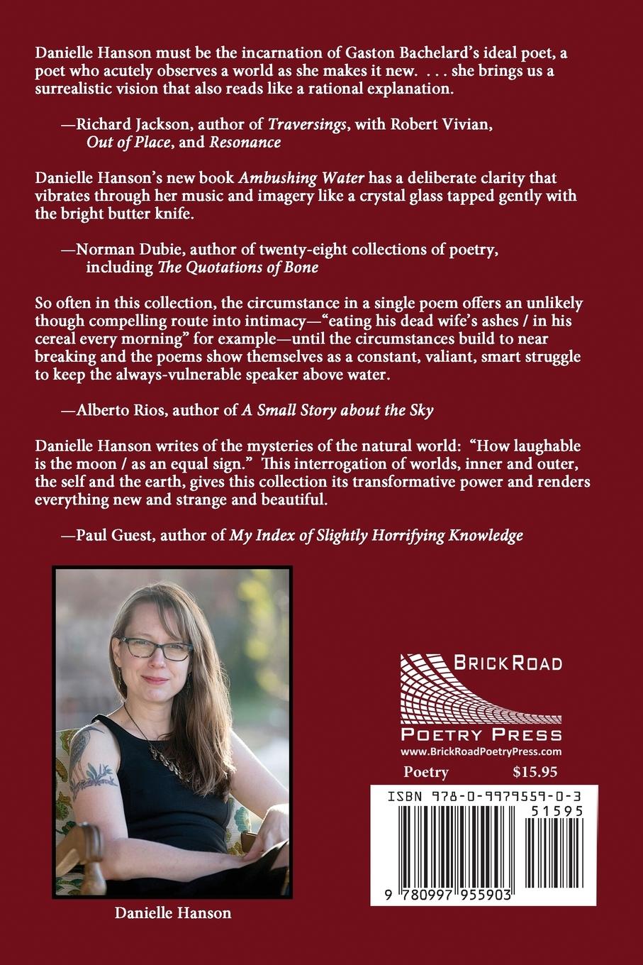 Rückseitencover Ambushing Water