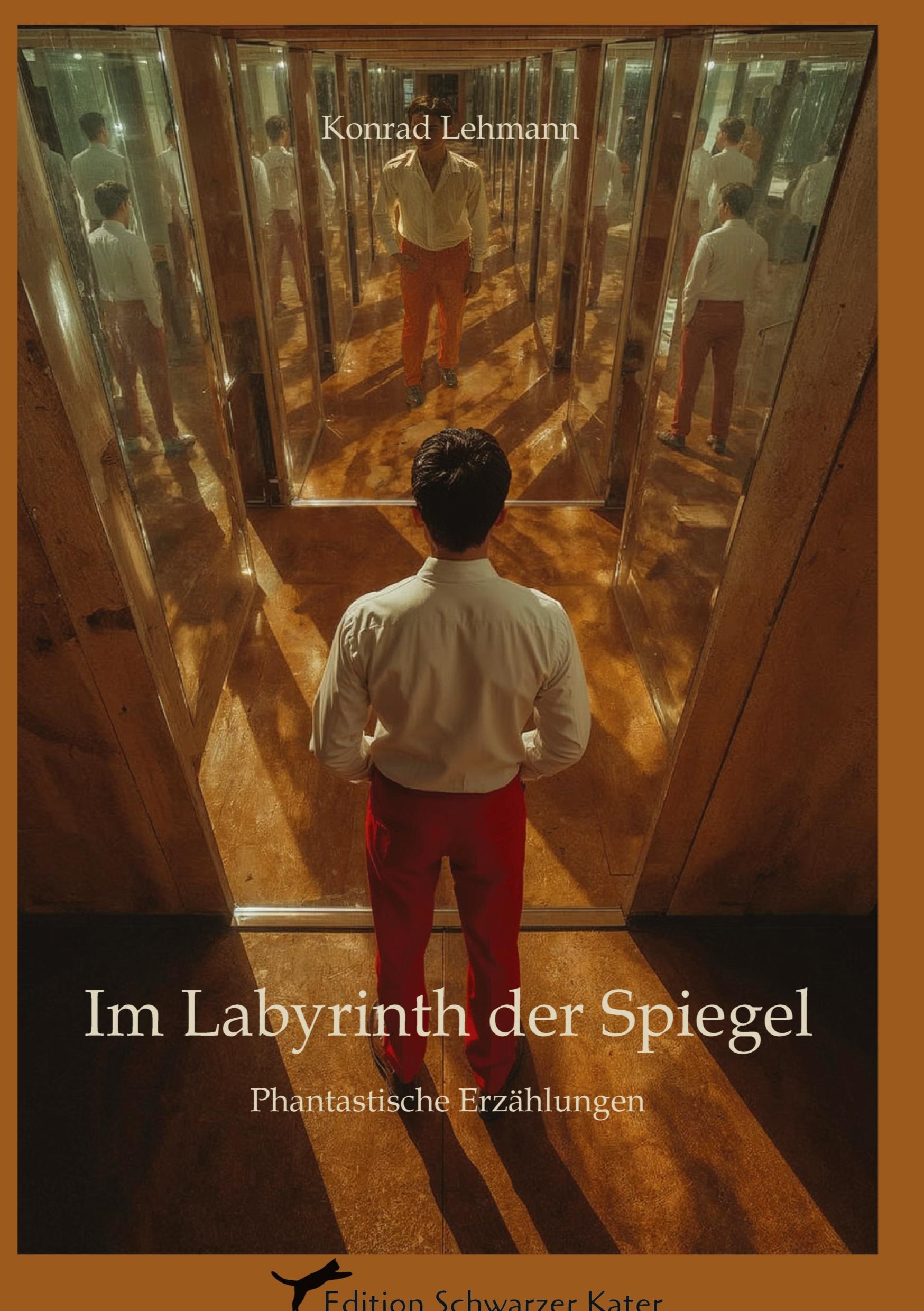 Vorderes Coverbild Im Labyrinth der Spiegel