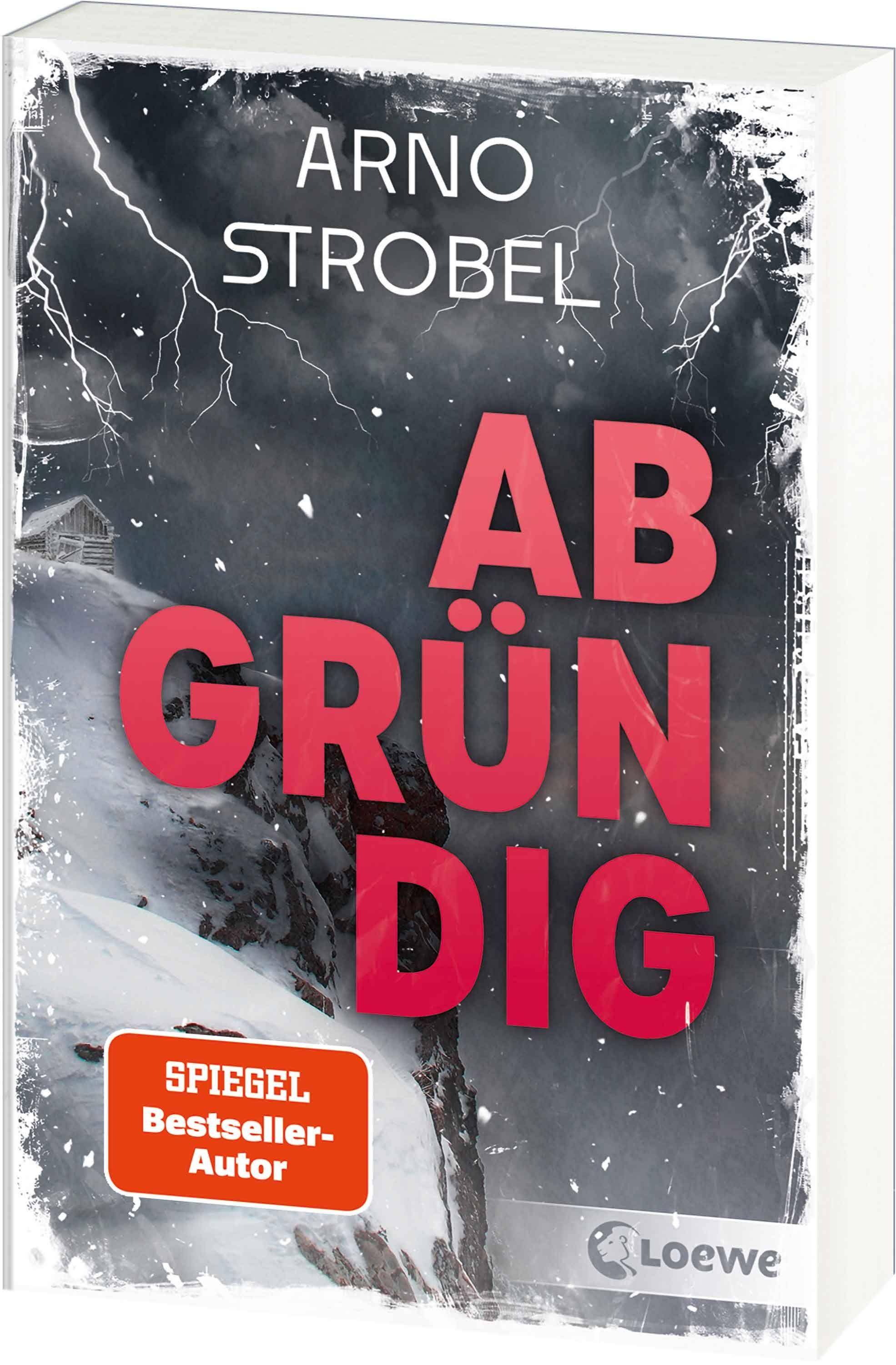 Vorderes Coverbild Abgründig