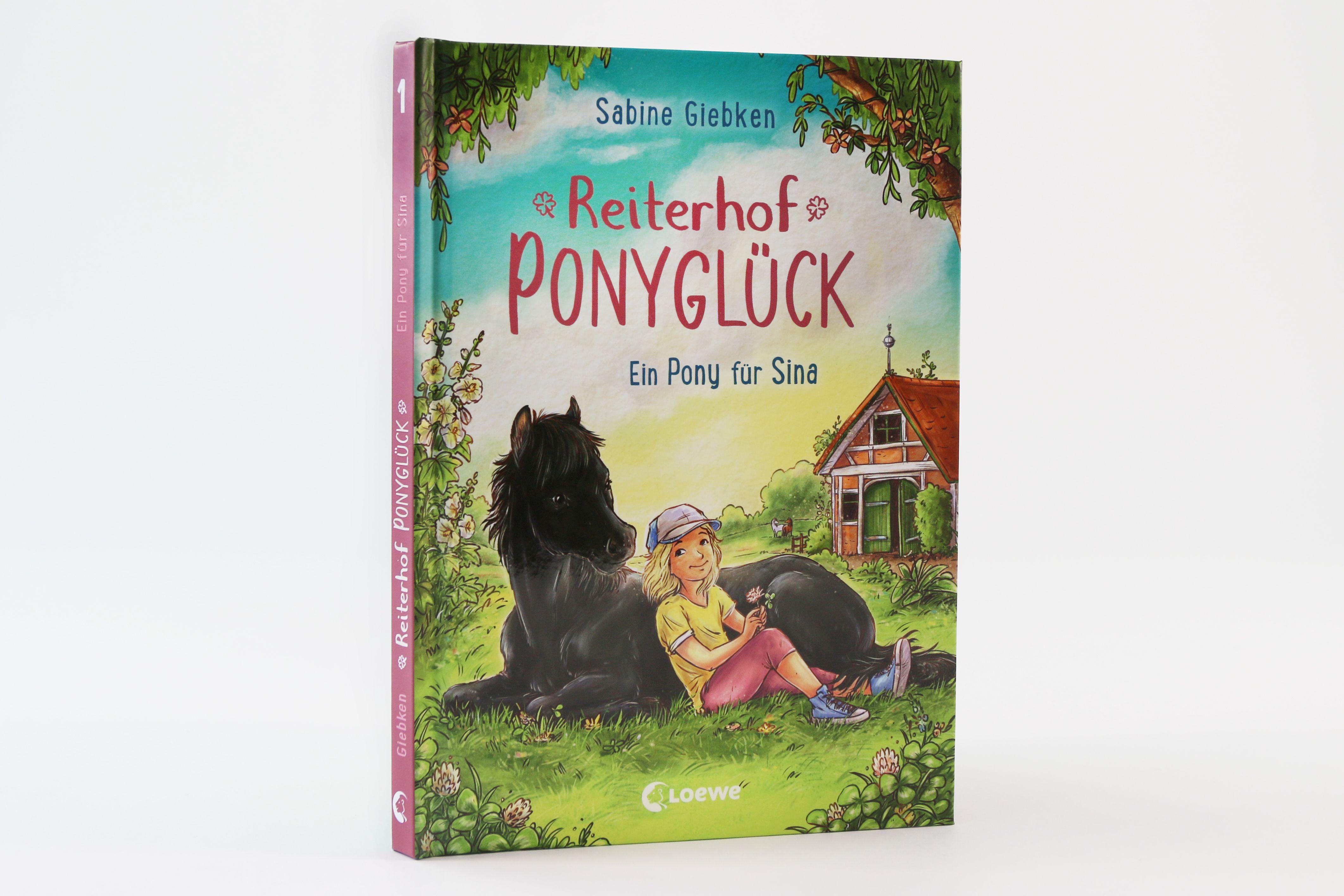 Beispielinhalt (Bild) Reiterhof Ponyglück (Band 1) - Ein Pony für Sina