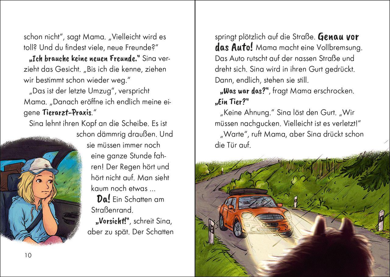 Beispielinhalt (Bild) Reiterhof Ponyglück (Band 1) - Ein Pony für Sina