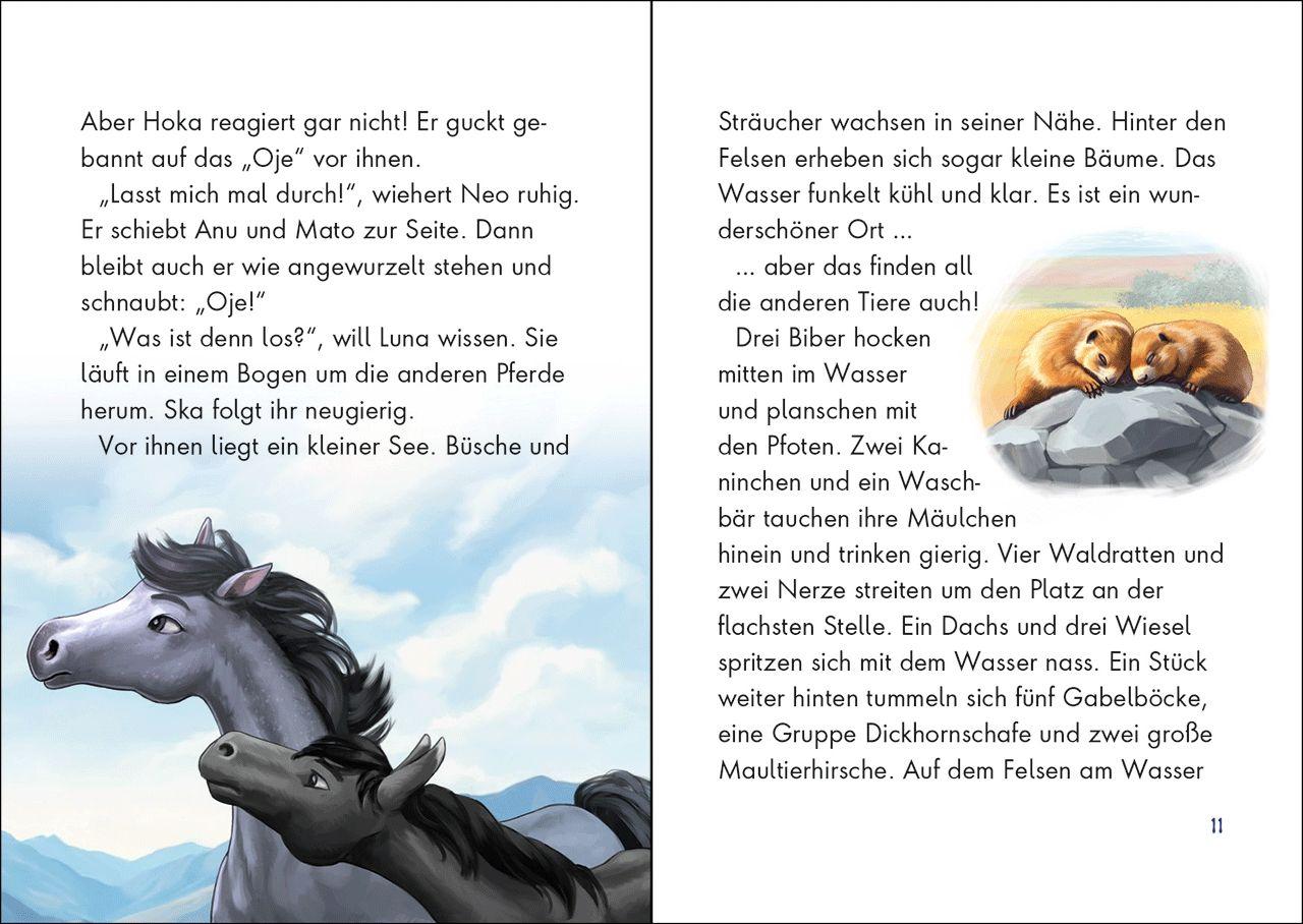 Beispielinhalt (Bild) Wildpferde - mutig und frei (Band 6) - Im Revier des Bären