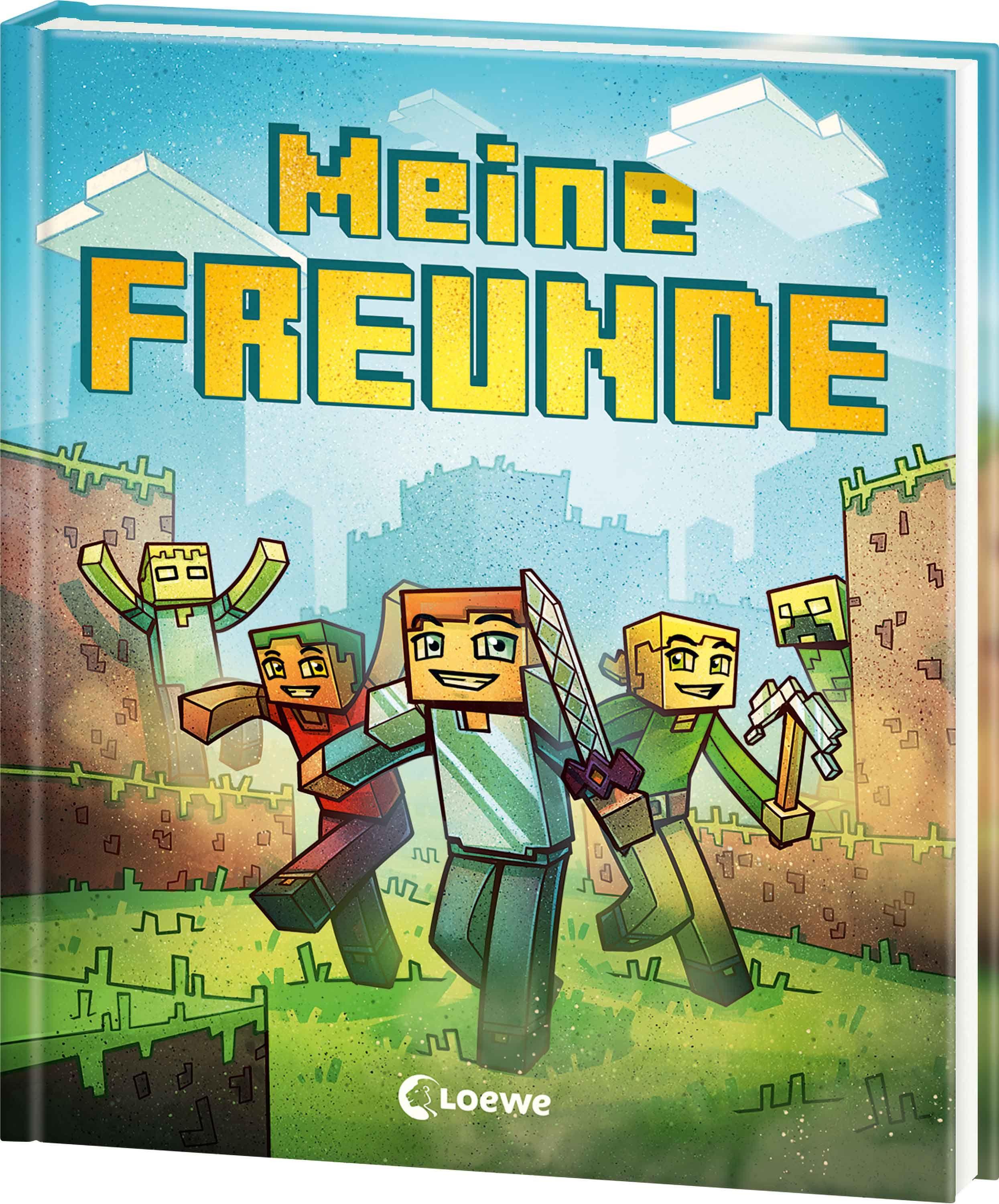 Vorderes Coverbild Meine Freunde (Minecraft)