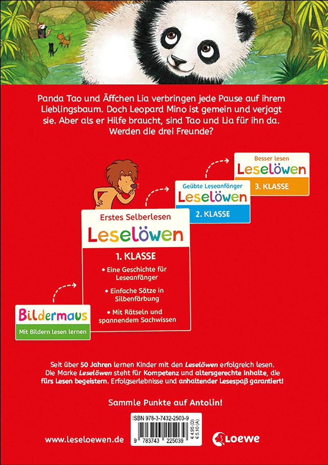 Beispielinhalt (Bild) Leselöwen 1. Klasse - Ein Panda in der Dschungelschule