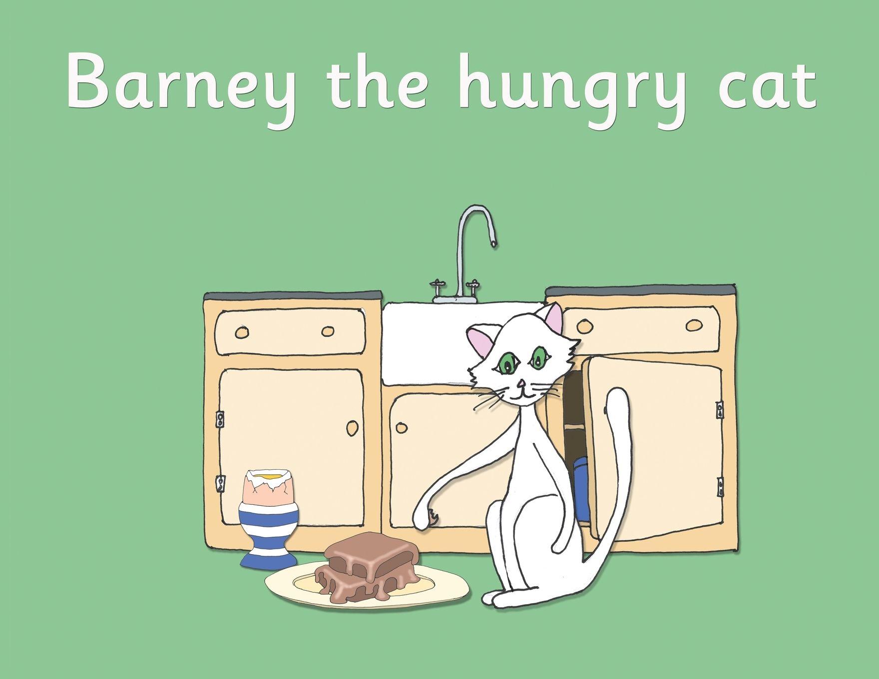 Vorderes Coverbild Barney the hungry cat
