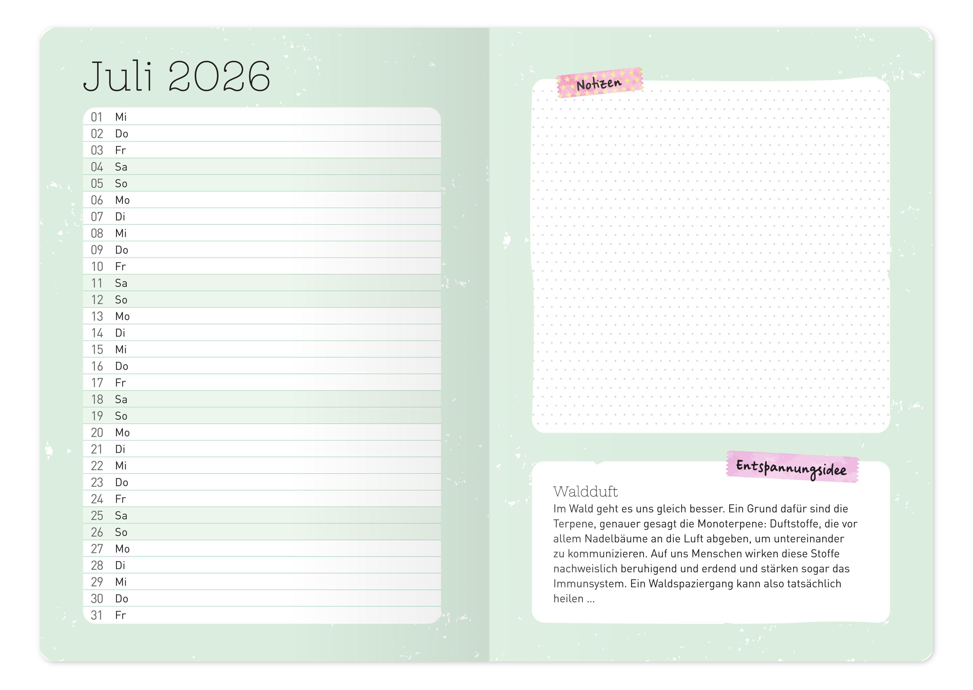 Beispielinhalt (Bild) Der Kita-Planer 2026 / 2027