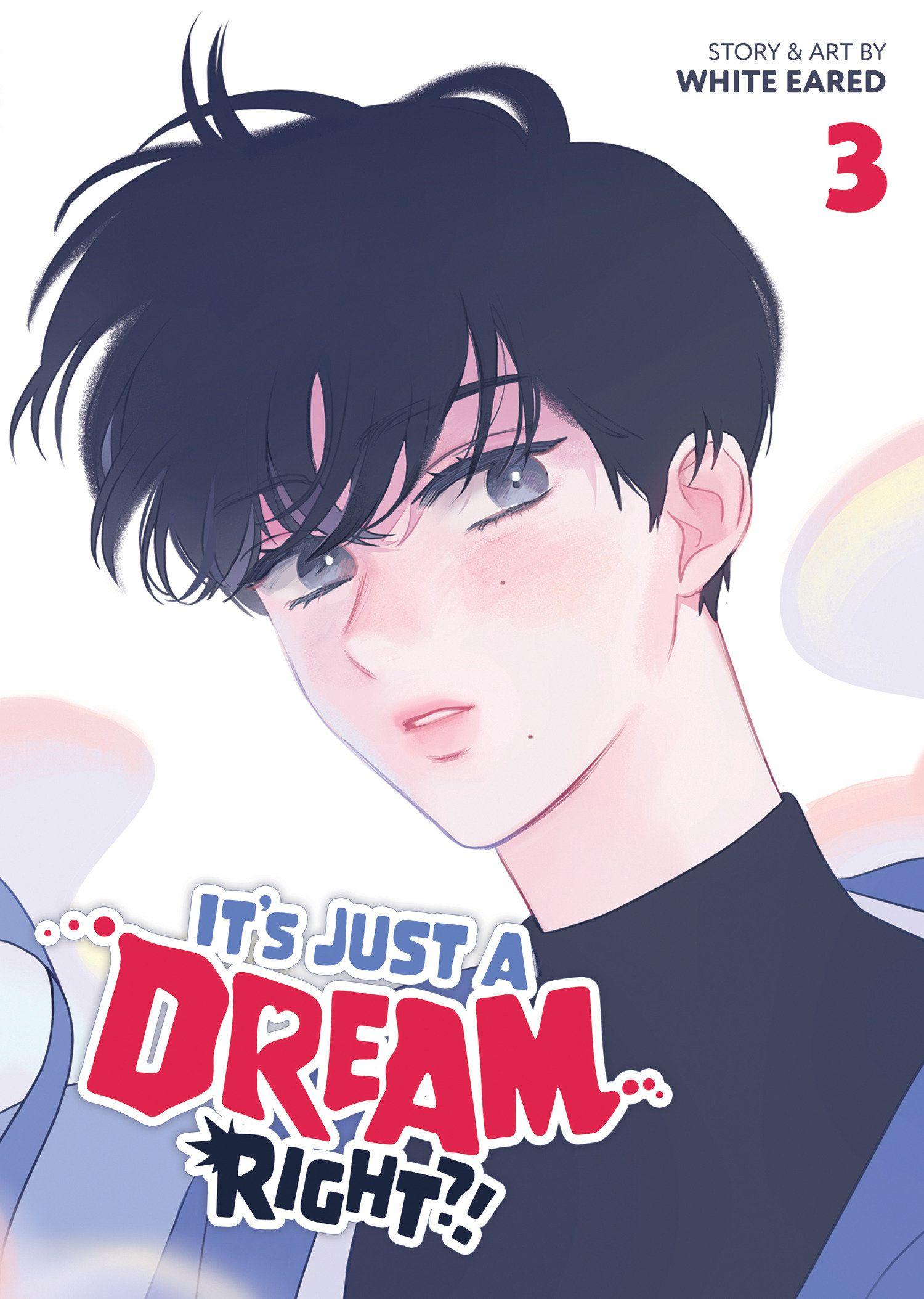 Vorderes Coverbild It's Just a Dream... Right?! (Comic) Vol. 3