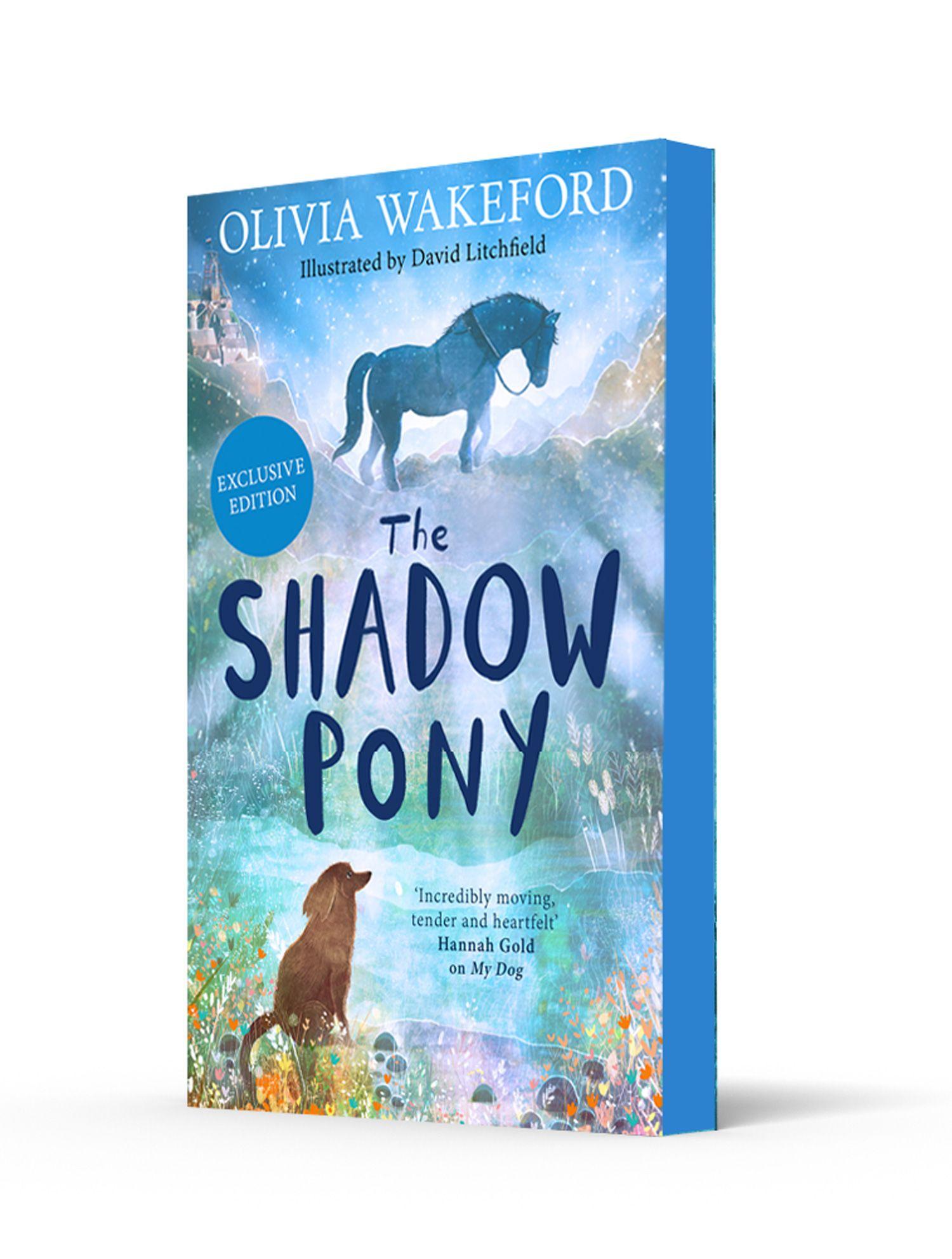 Vorderes Coverbild The Shadow Pony