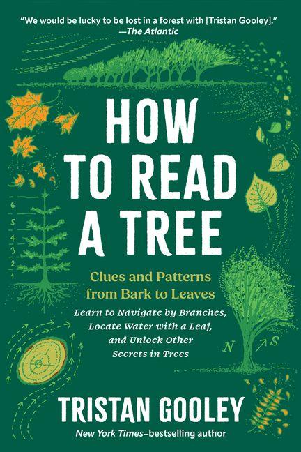 Vorderes Coverbild How to Read a Tree