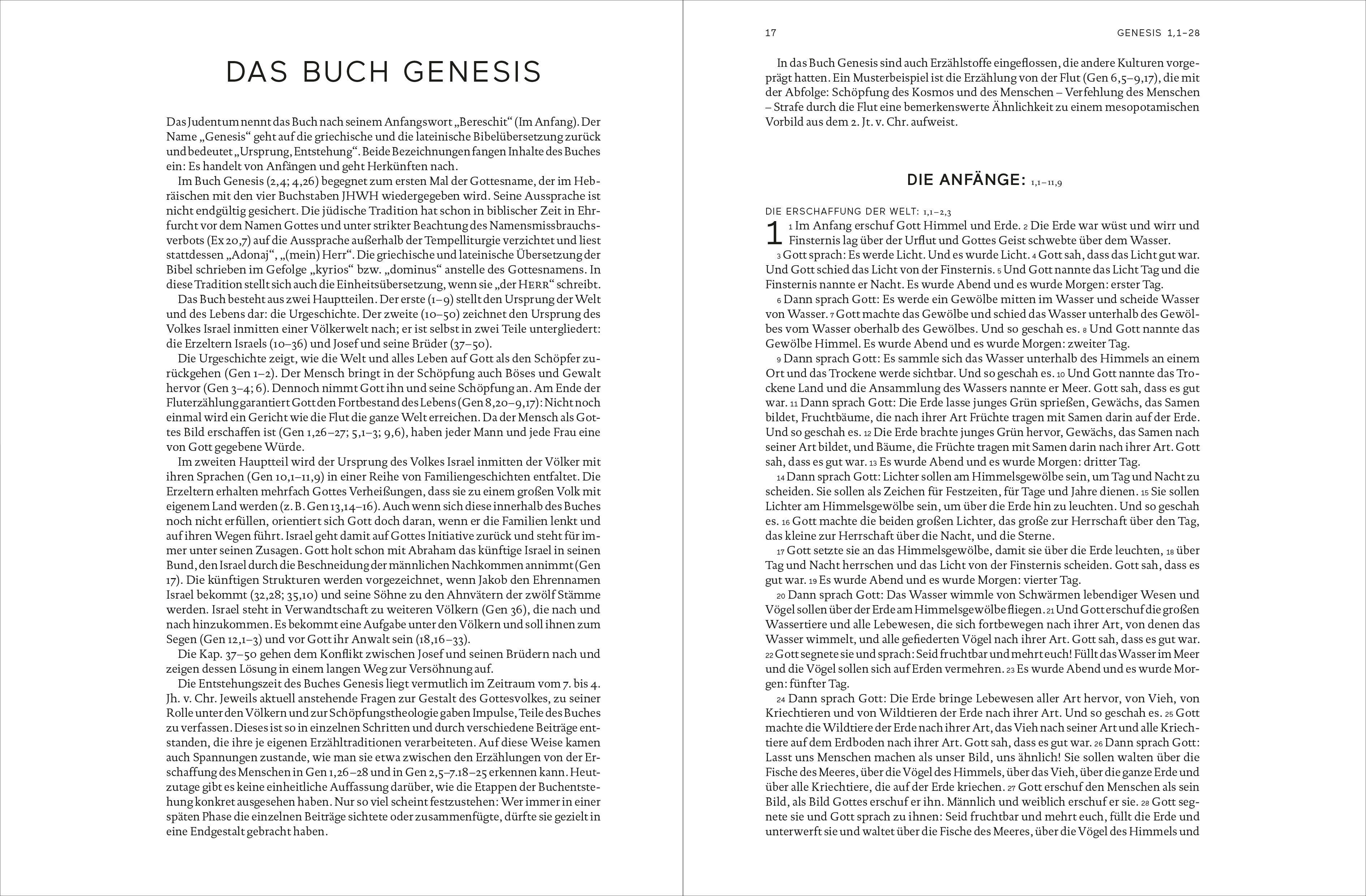 Beispielinhalt (Bild) Die Bibel. Handschmeichler Ausgabe