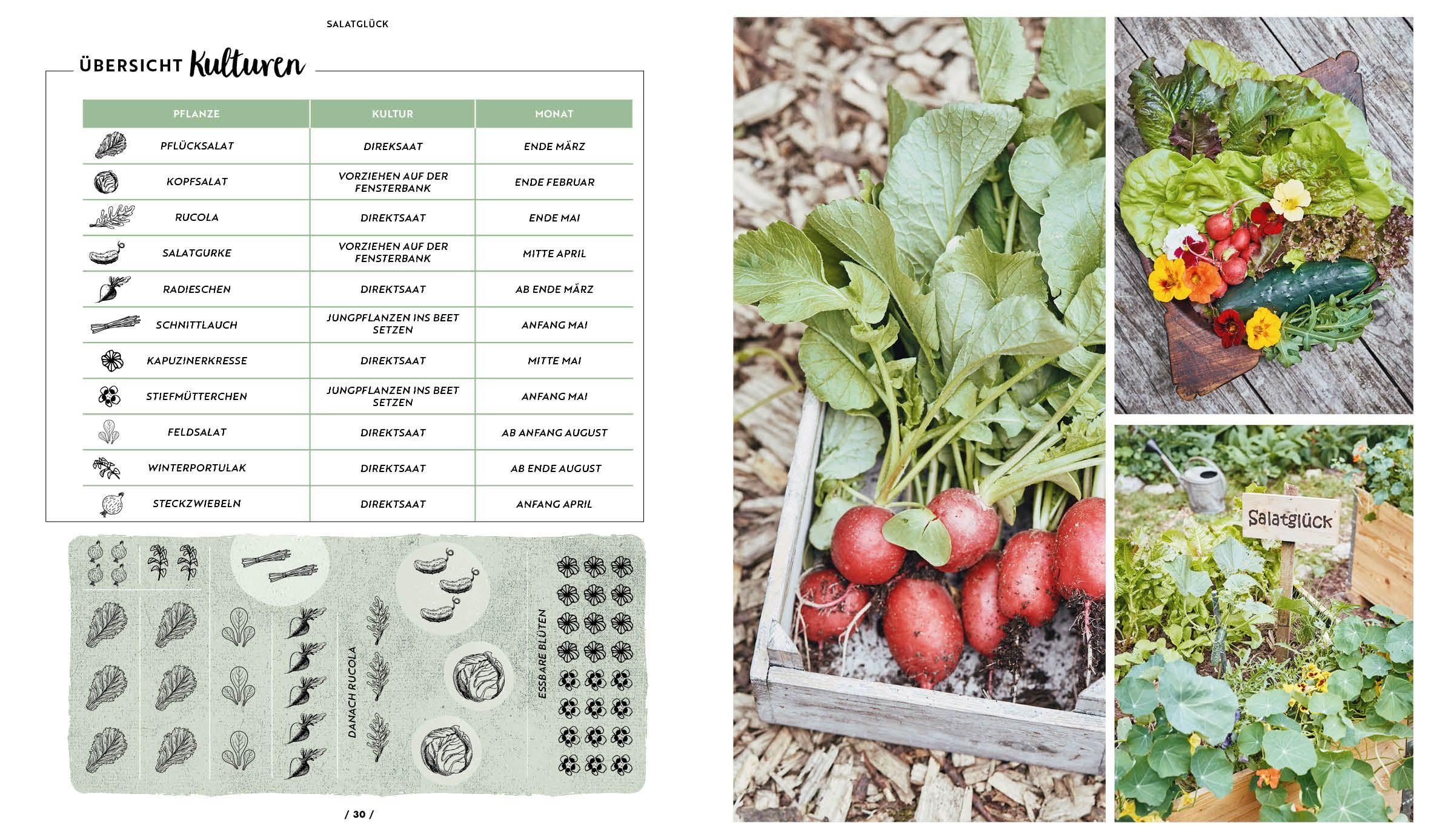 Beispielinhalt (Bild) Garten, Hochbeet, Ernte-Wunder - Drei Bücher im Bundle