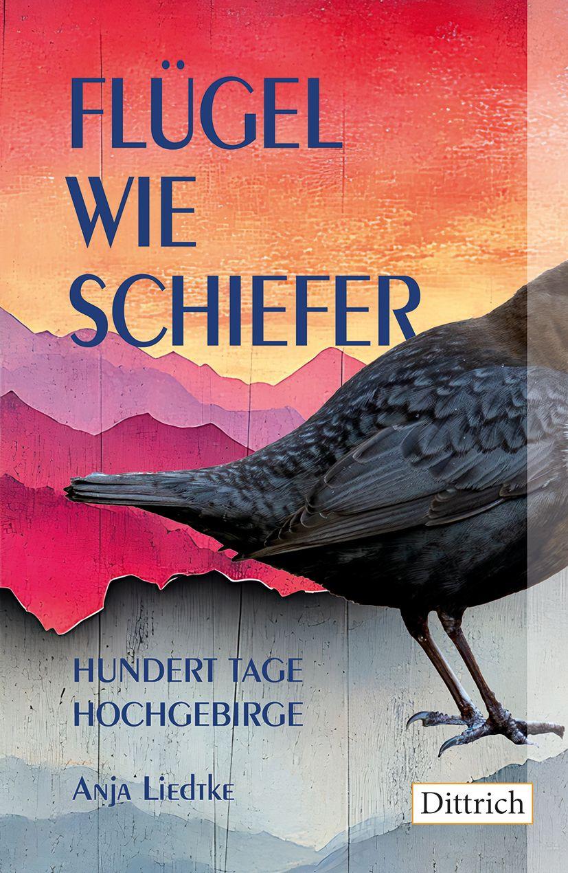 Vorderes Coverbild Flügel wie Schiefer