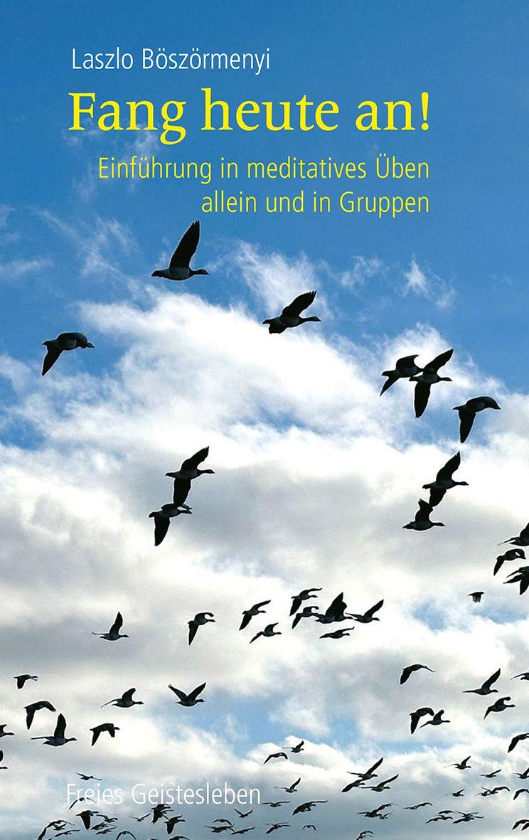 Vorderes Coverbild Fang heute an!