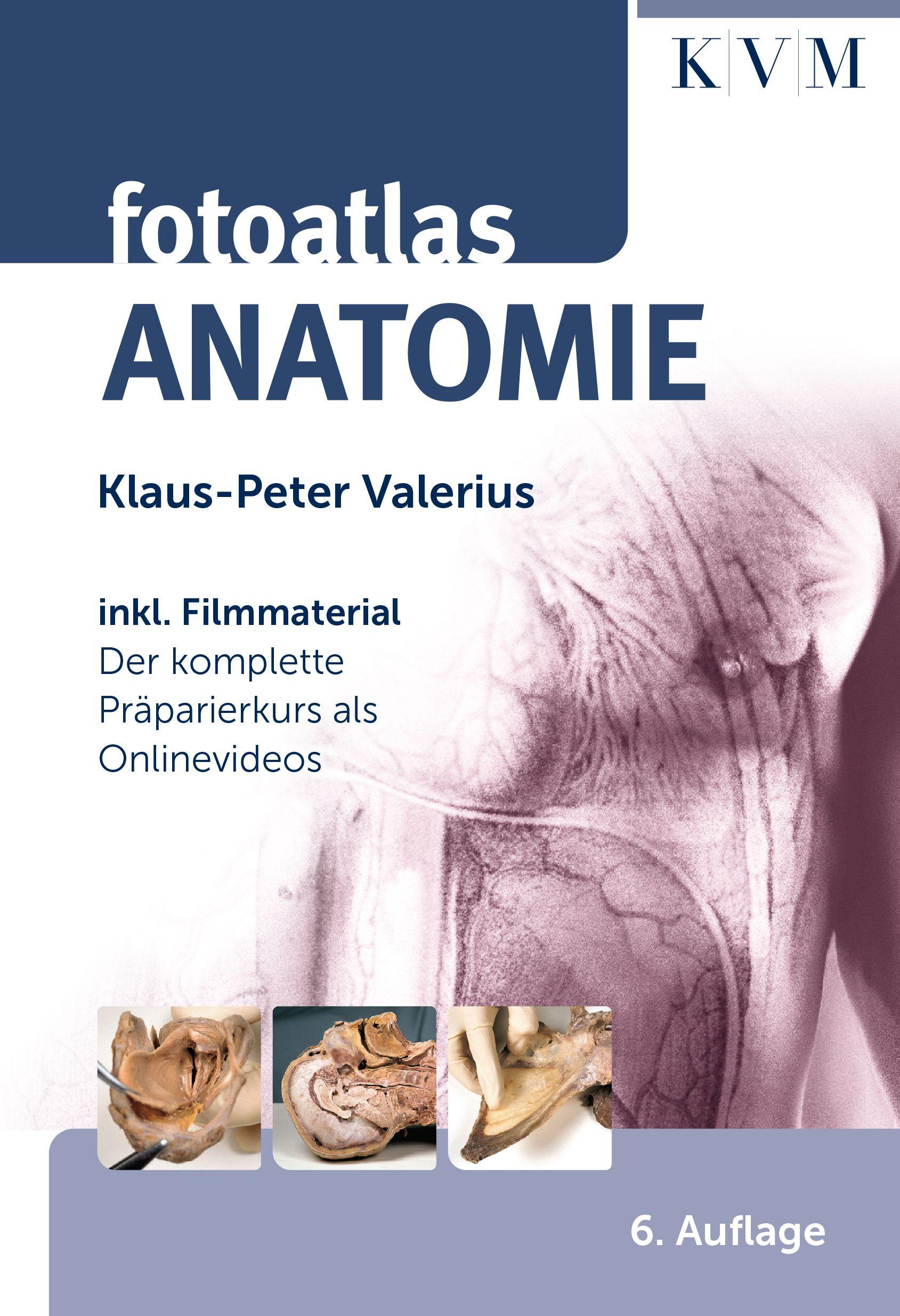 Vorderes Coverbild Fotoatlas Anatomie
