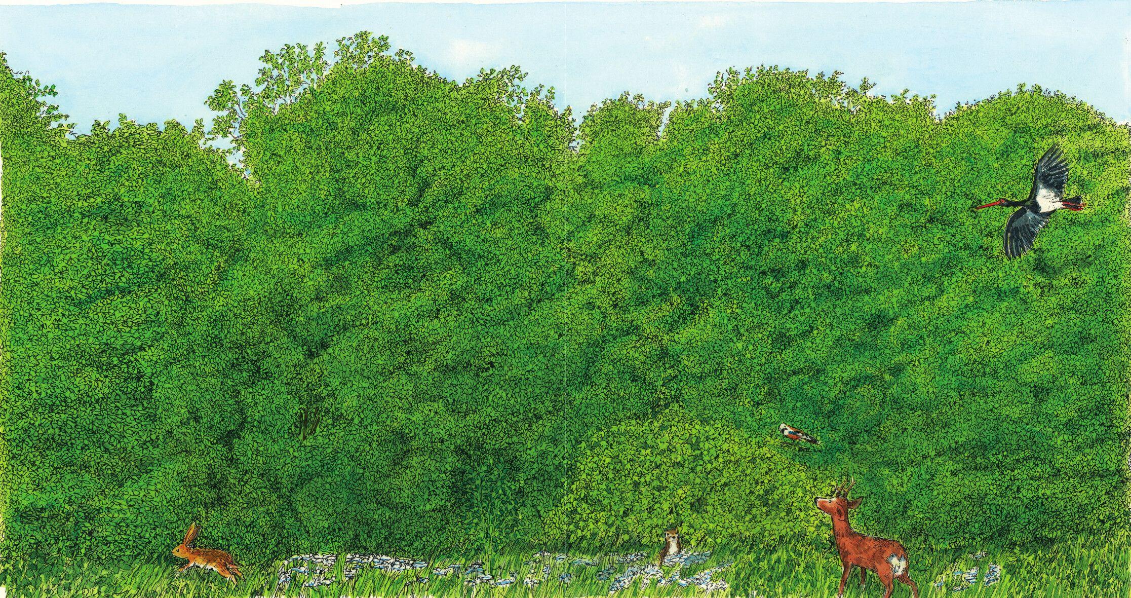 Beispielinhalt (Bild) In den Wald