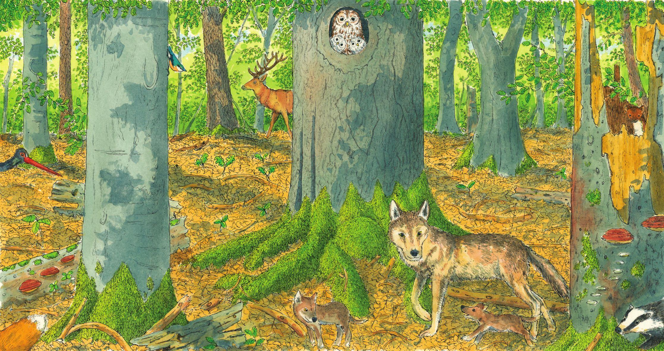 Beispielinhalt (Bild) In den Wald