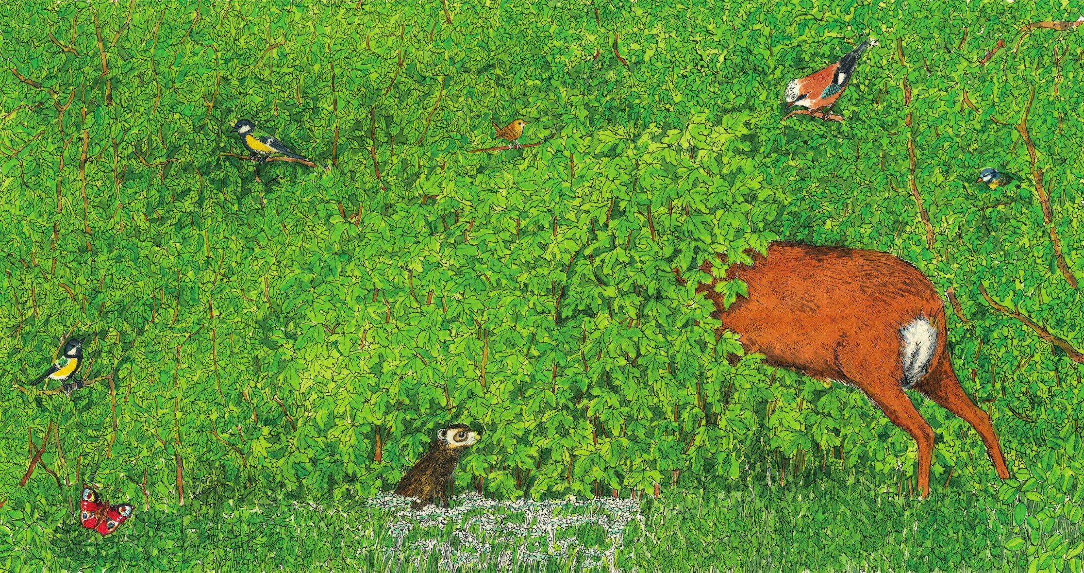 Beispielinhalt (Bild) In den Wald