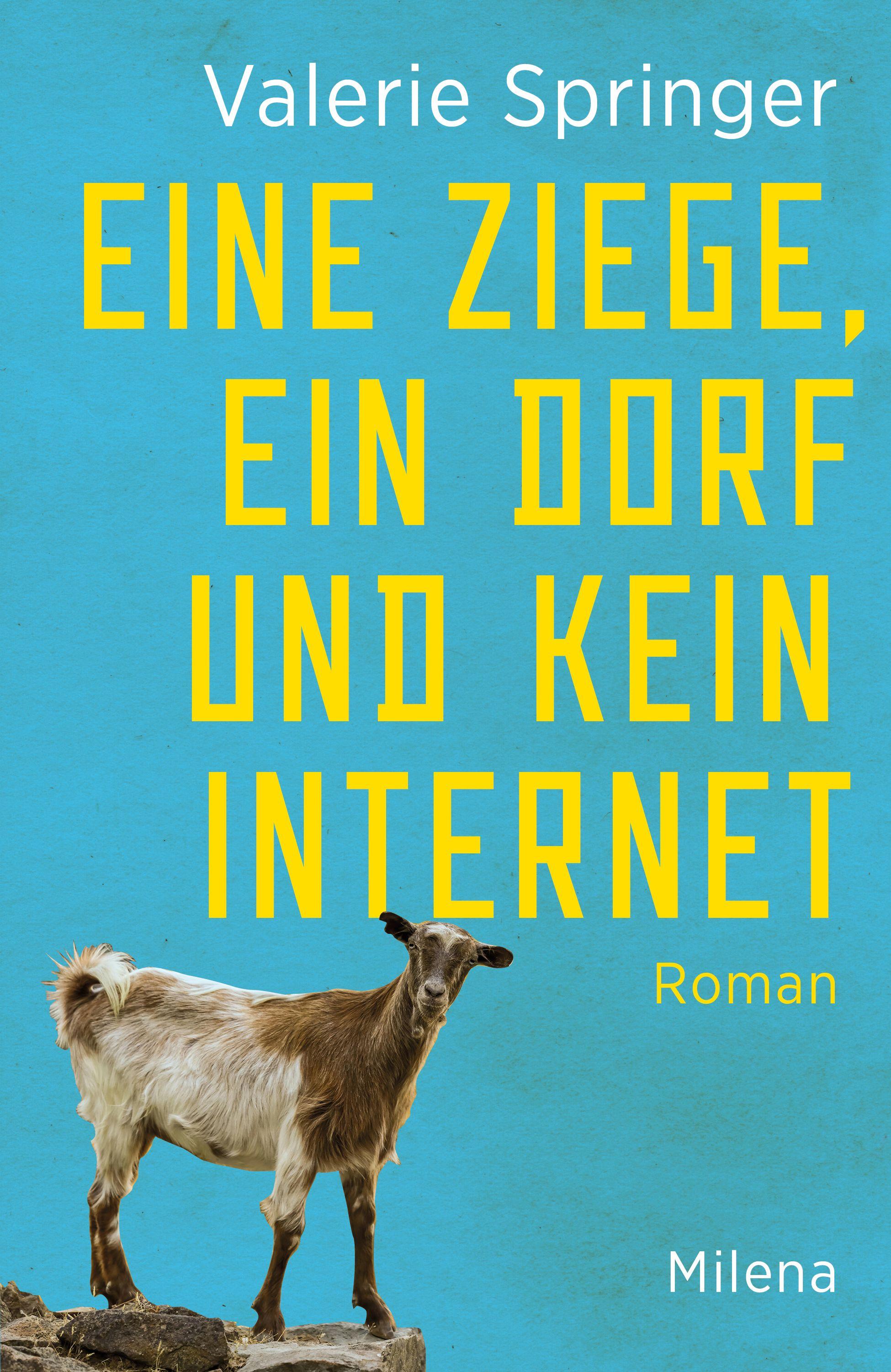 Vorderes Coverbild Eine Ziege, ein Dorf und kein Internet