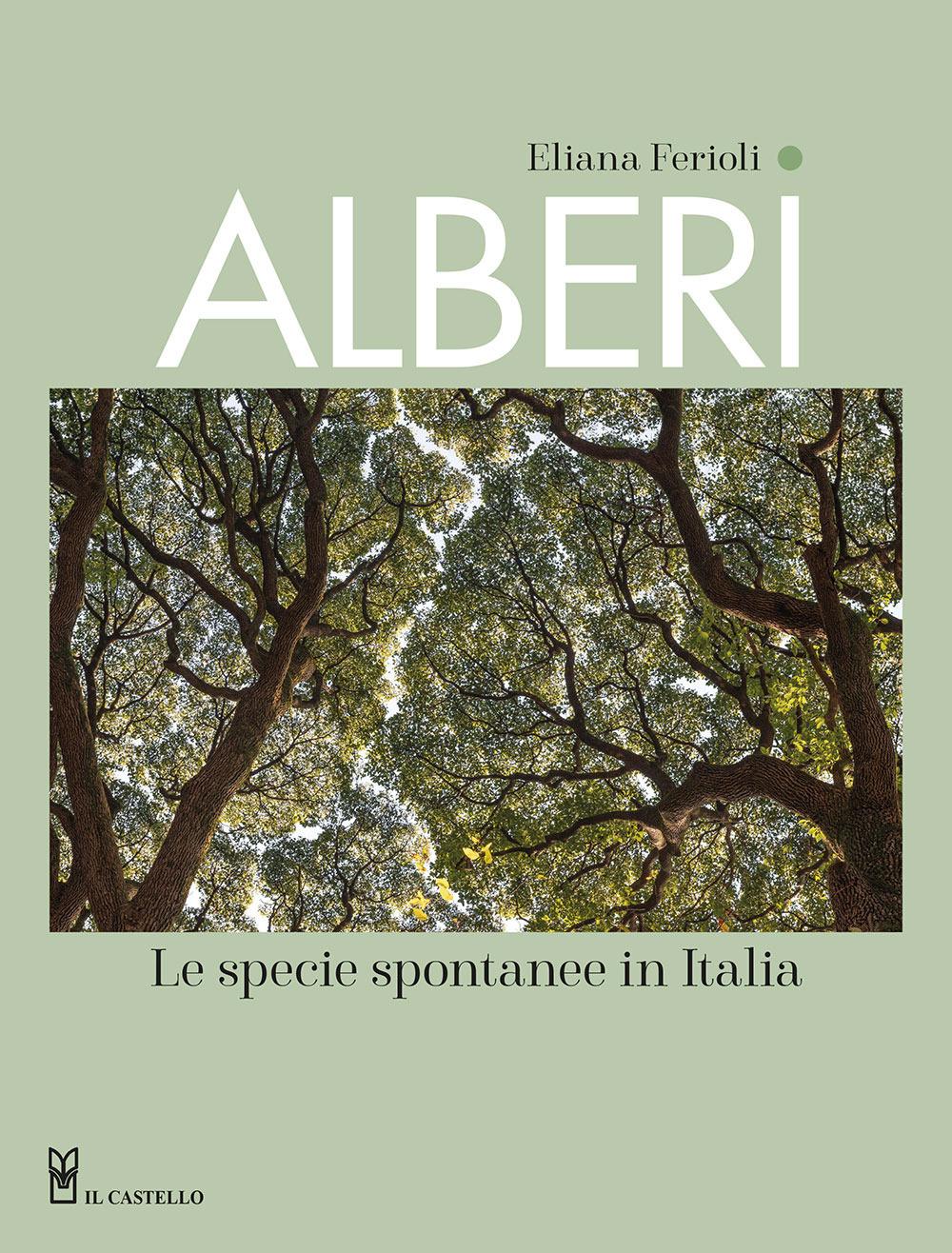 Vorderes Coverbild Alberi. Le specie spontanee in Italia