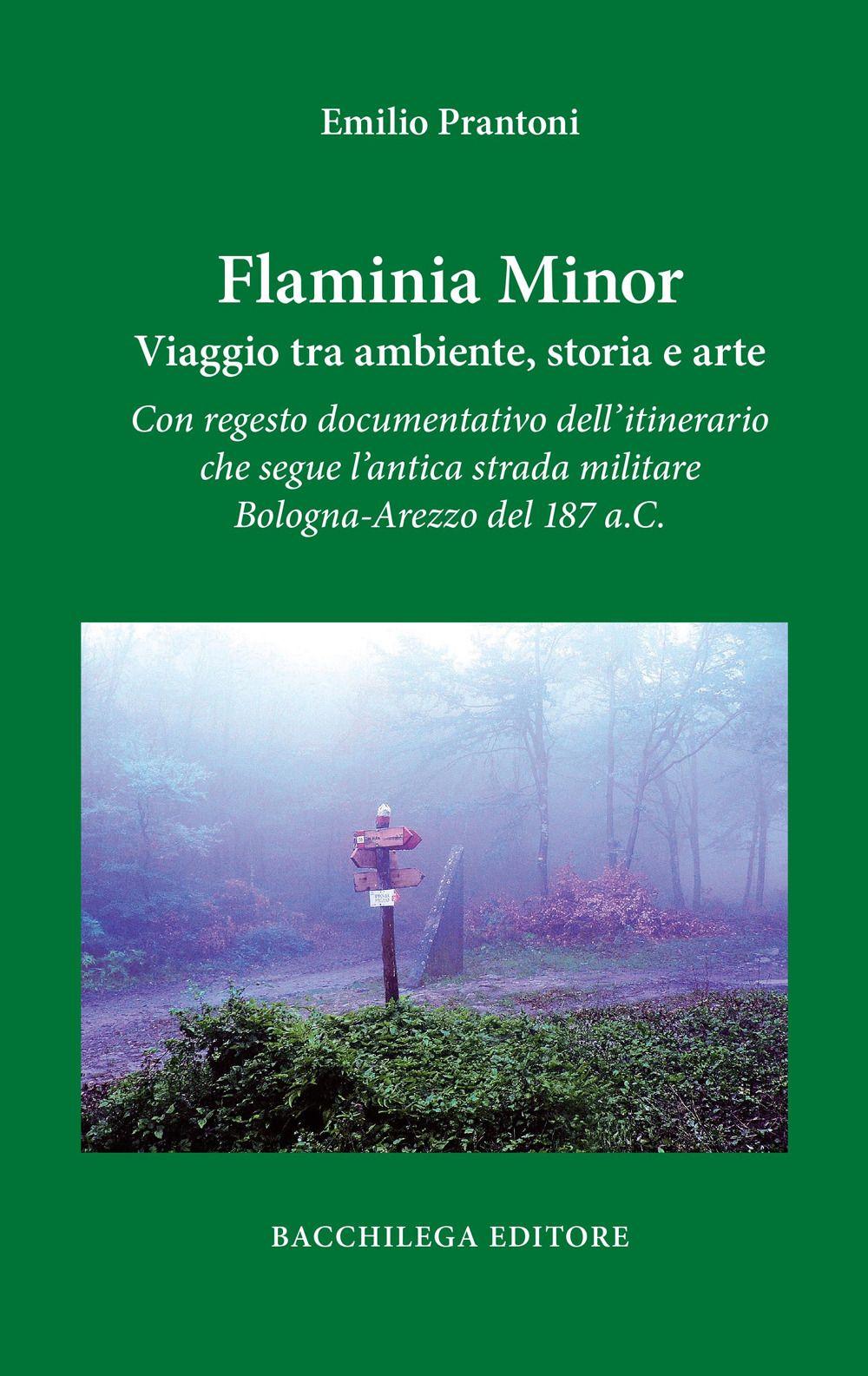 Vorderes Coverbild Flaminia Minor. Viaggio tra ambiente, storia e arte. Con regesto documentativo dell'itinerario che segue l'antica strada militare Bologna-Arezzo del 187 a.C.