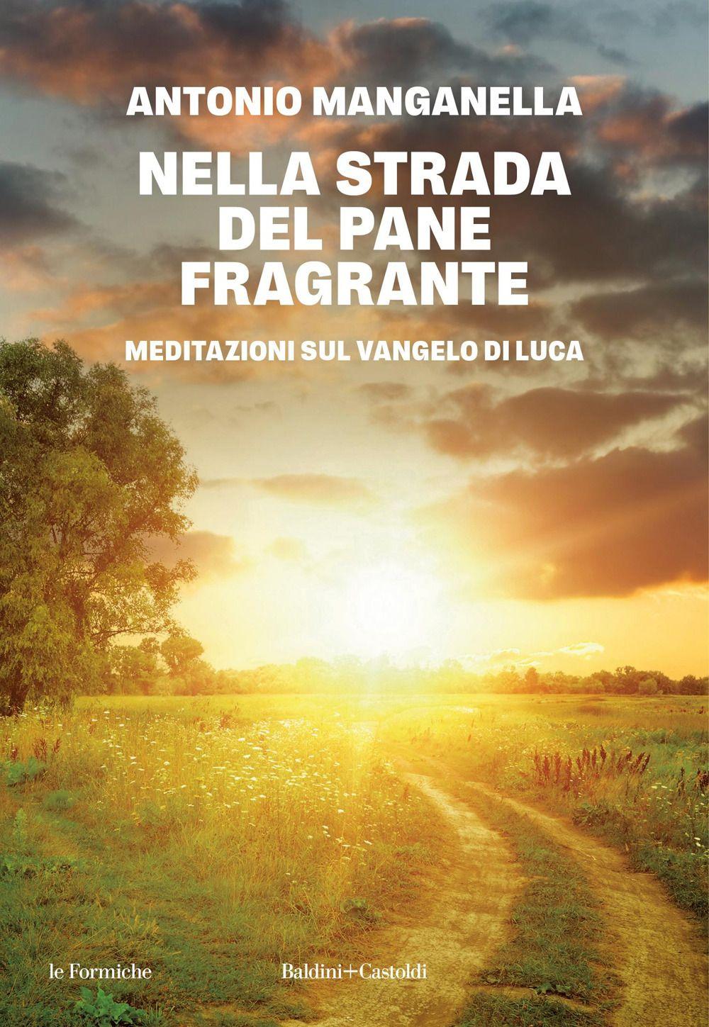 Vorderes Coverbild Nella strada del pane fragrante. Meditazioni sul Vangelo di Luca