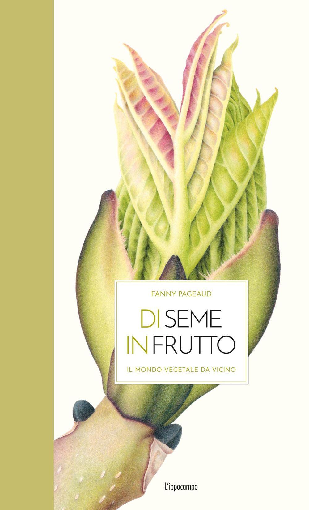 Vorderes Coverbild Di seme in frutto. Il mondo vegetale da vicino
