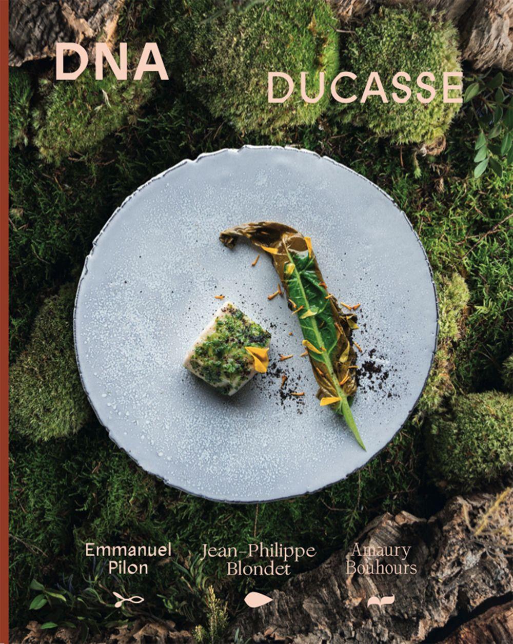 Vorderes Coverbild DNA Ducasse