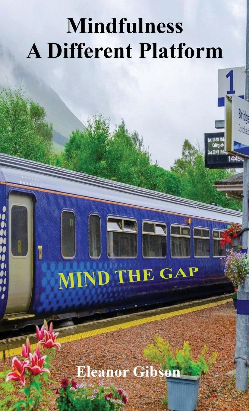 Vorderes Coverbild Mindfulness - A Different Platform