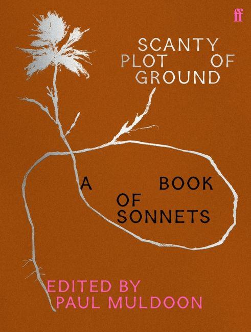 Vorderes Coverbild Scanty Plot of Ground