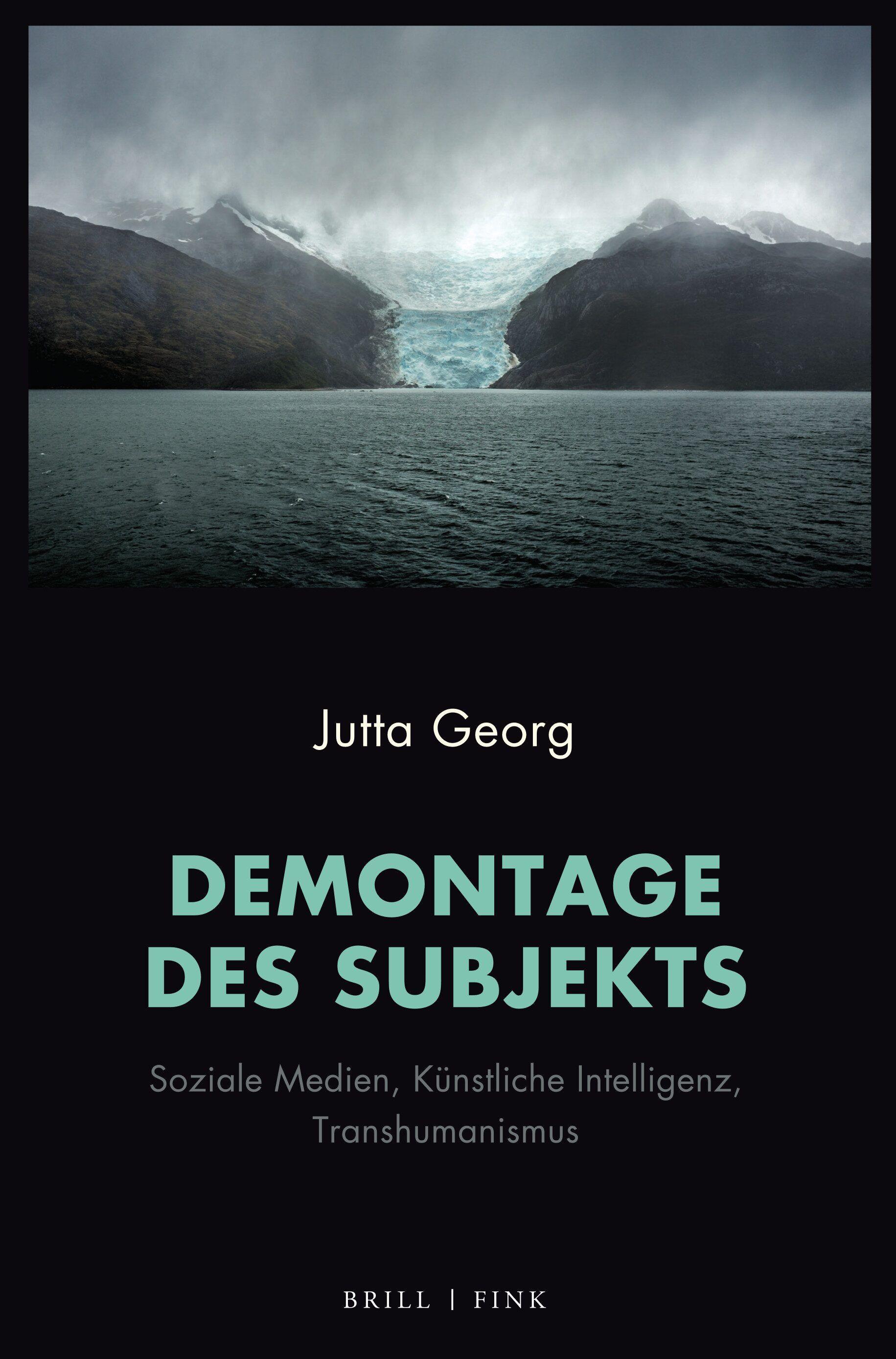 Vorderes Coverbild Demontage des Subjekts