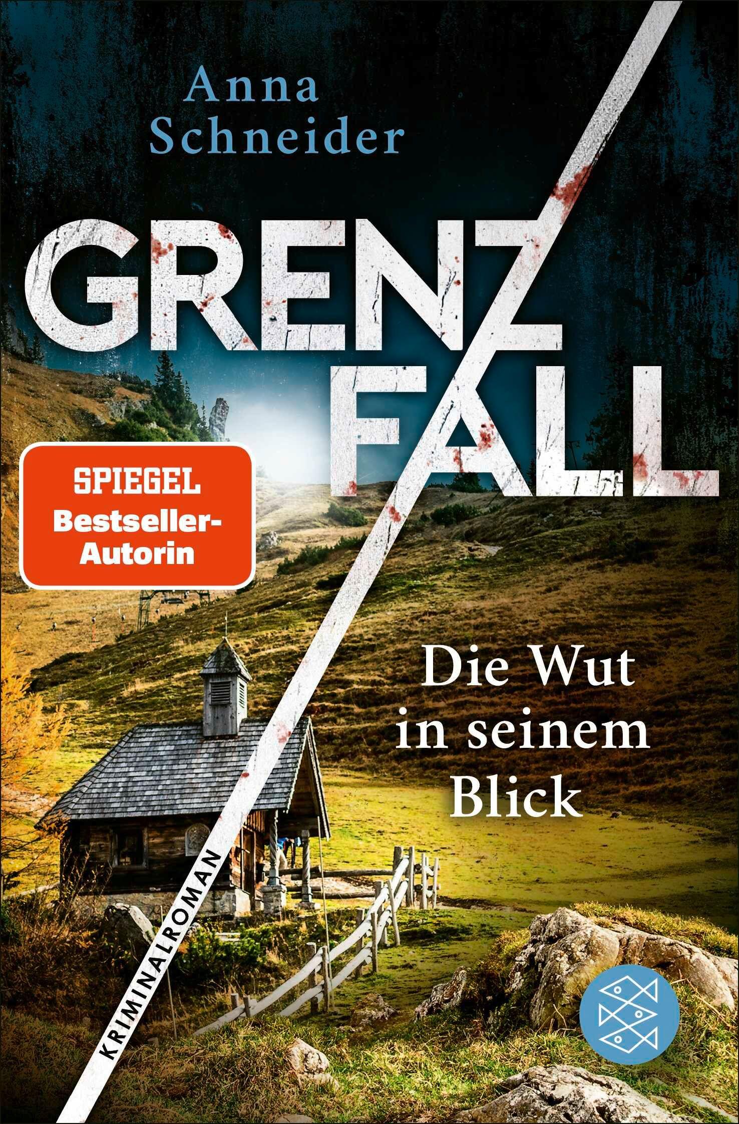 Vorderes Coverbild Grenzfall - Die Wut in seinem Blick
