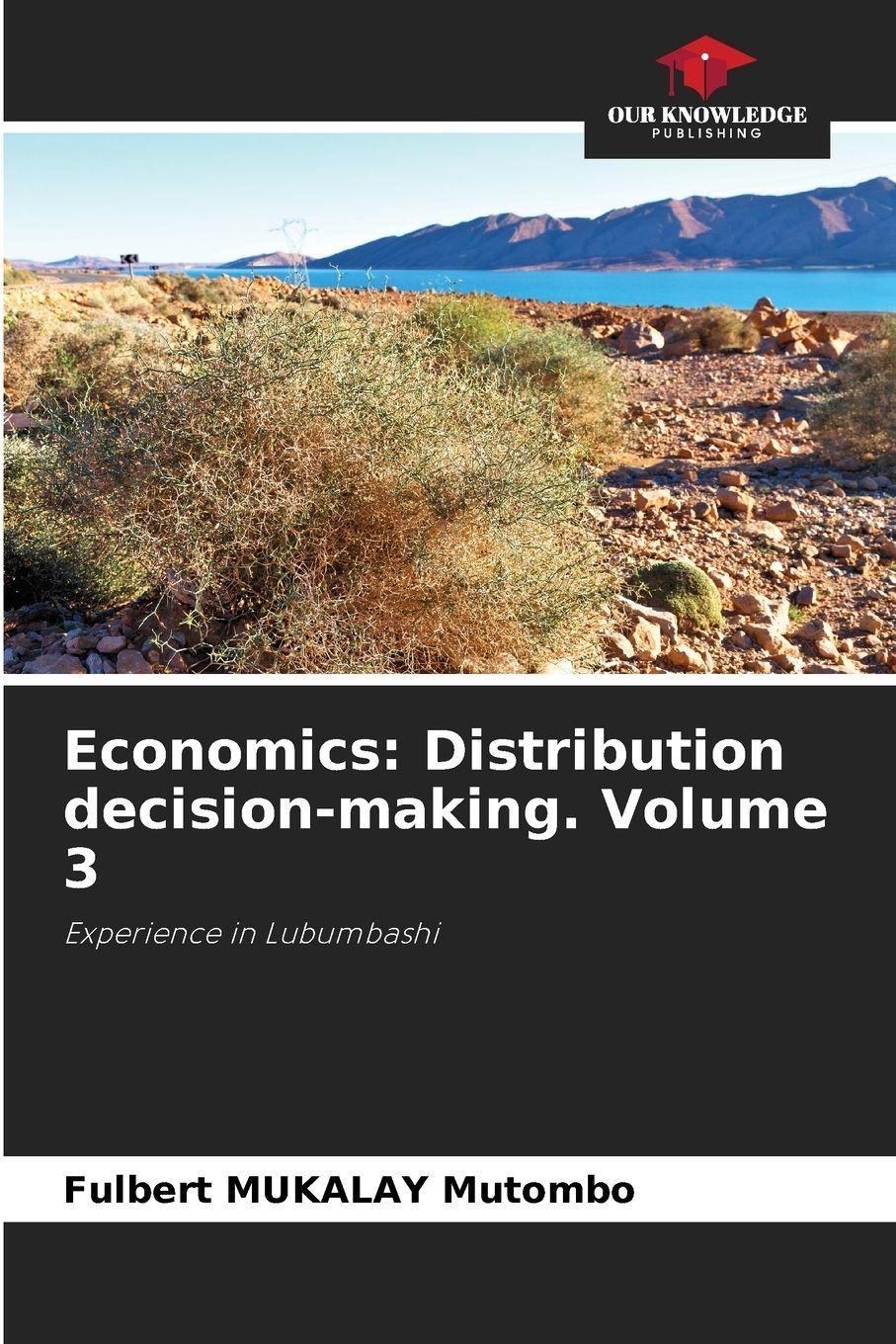 Vorderes Coverbild Economics: Distribution decision-making. Volume 3